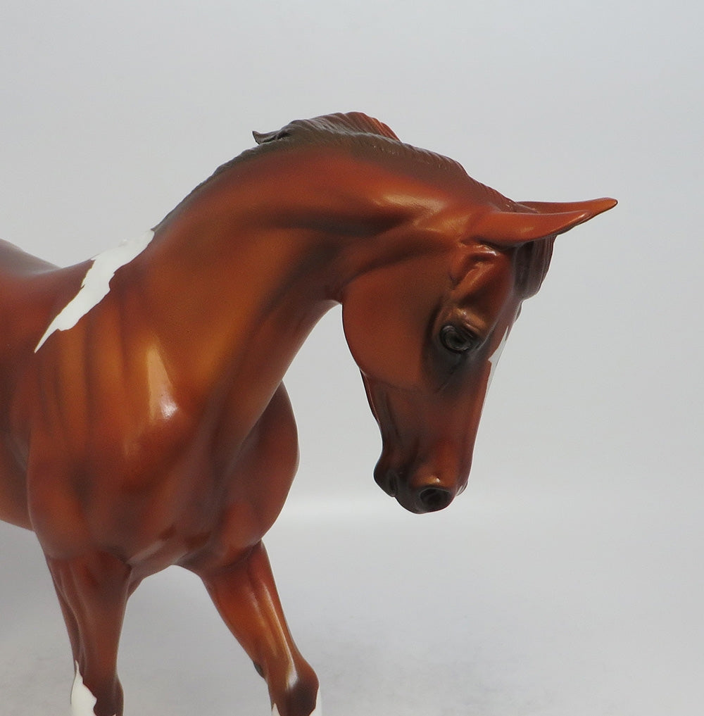 ICARUS-LE-3 CHESTNUT PINTO THOROUGHBRED MODEL HORSE BY EMMA JEZEK 5/18/18