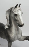 BLITZORTE-OOAK STAR DAPPLE GREY SADDLEBRED MODEL HORSE BY SHERYL LEISURE 5/18/18