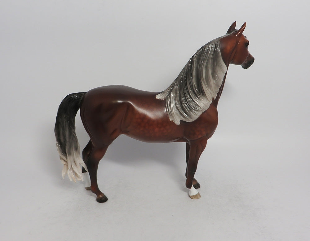 RED VELVET-OOAK SILVER BAY DAPPLE MORGAN BY SL 5/18/18