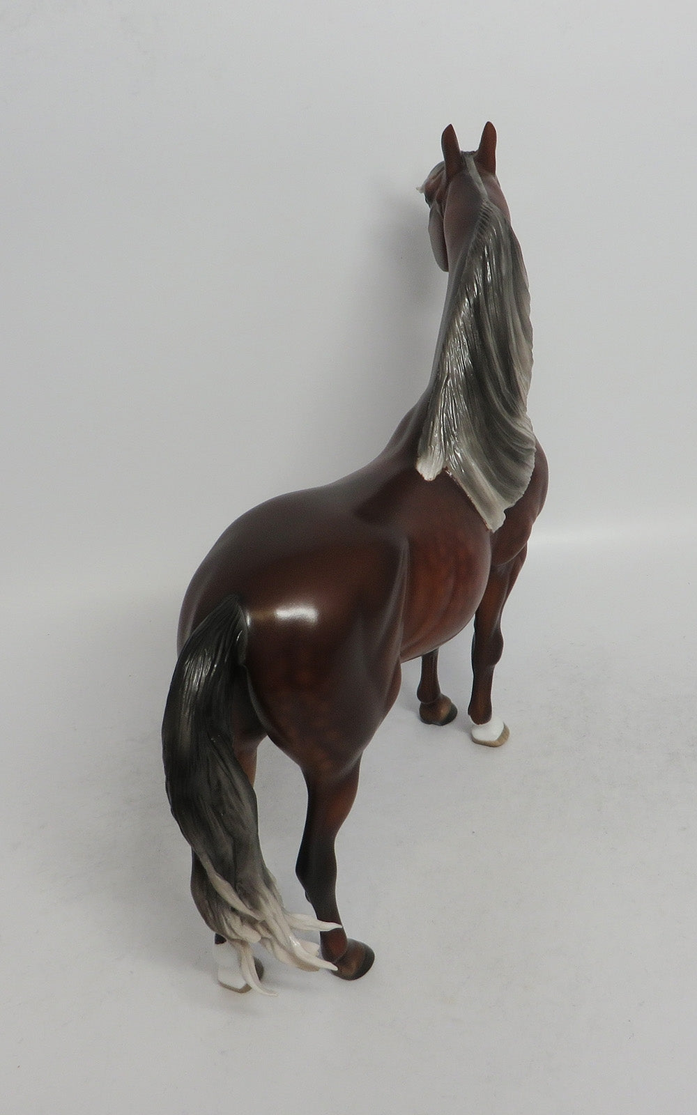 RED VELVET-OOAK SILVER BAY DAPPLE MORGAN BY SL 5/18/18