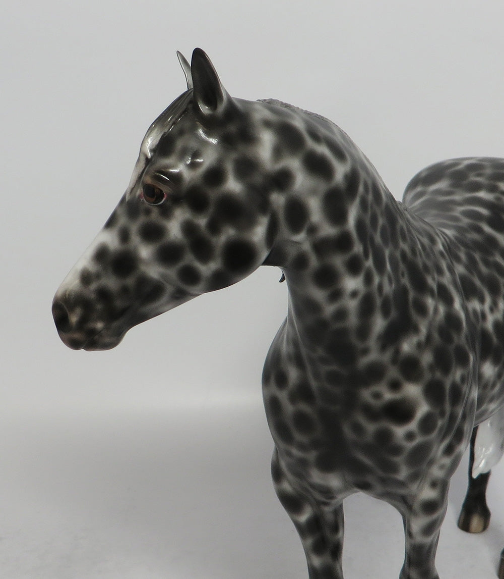 PANETONNE-OOAK LOUD LOUD APPALOOSA ISH MODEL HORSE BY SHERYL LEISURE 5/18/18