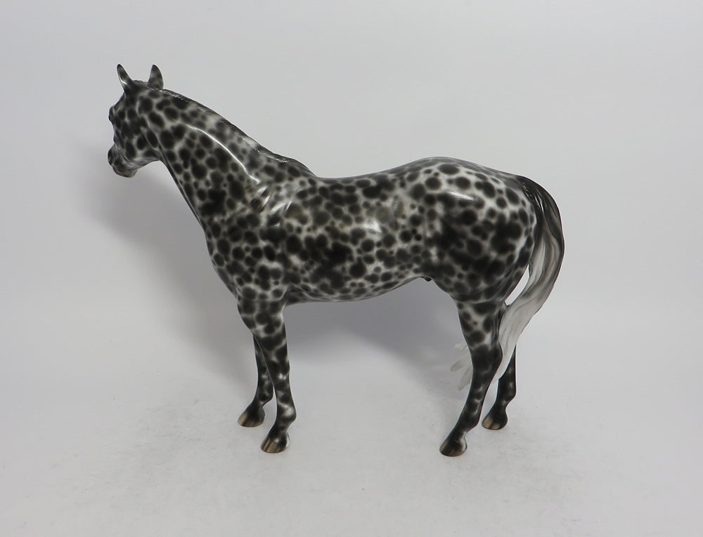 PANETONNE-OOAK LOUD LOUD APPALOOSA ISH MODEL HORSE BY SHERYL LEISURE 5/18/18
