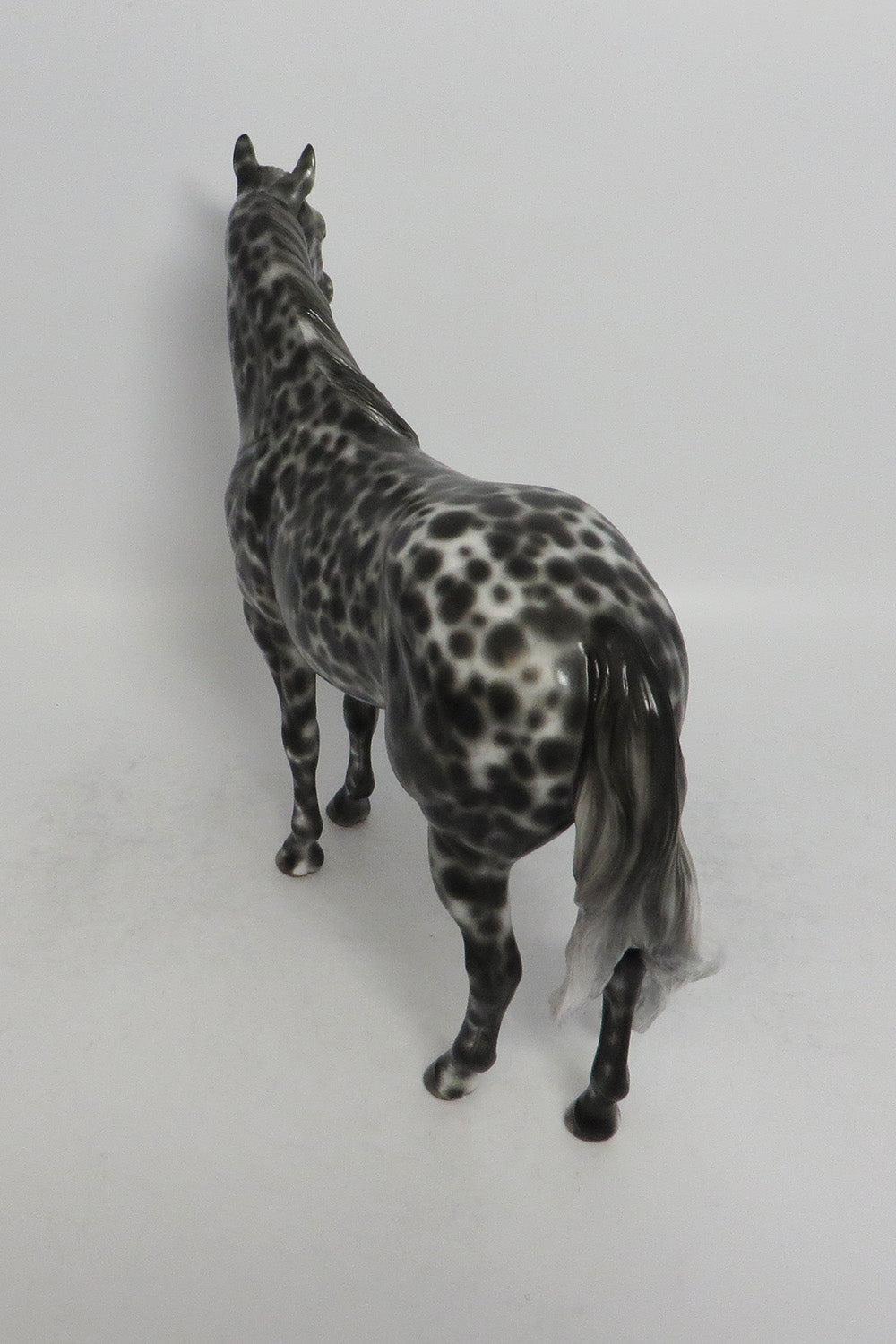 PANETONNE-OOAK LOUD LOUD APPALOOSA ISH MODEL HORSE BY SHERYL LEISURE 5/18/18