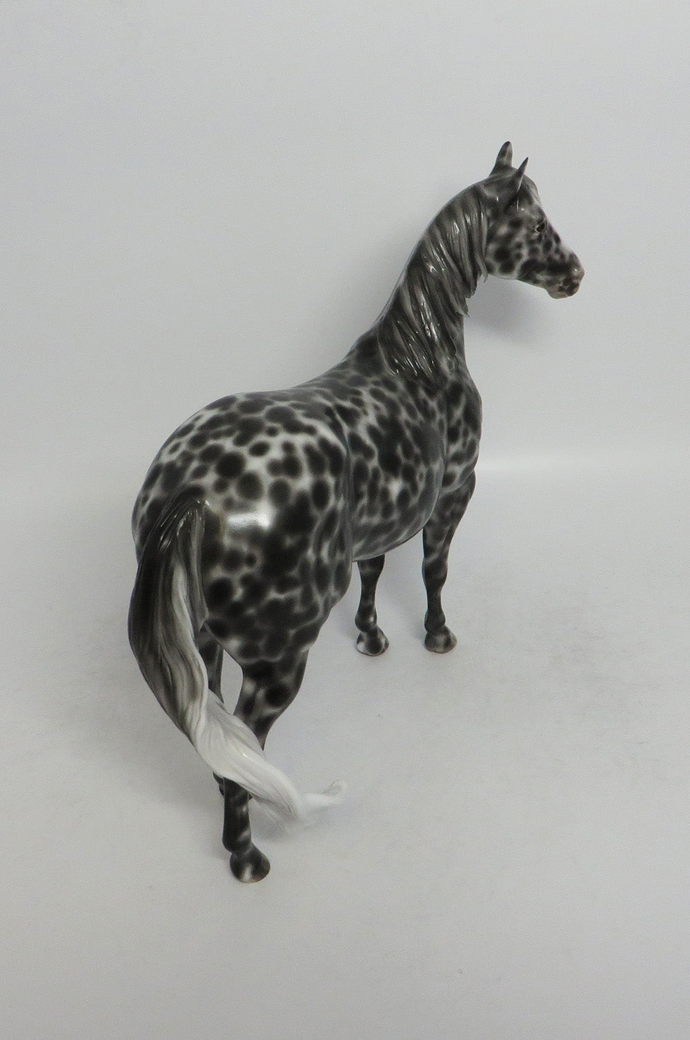 PANETONNE-OOAK LOUD LOUD APPALOOSA ISH MODEL HORSE BY SHERYL LEISURE 5/18/18