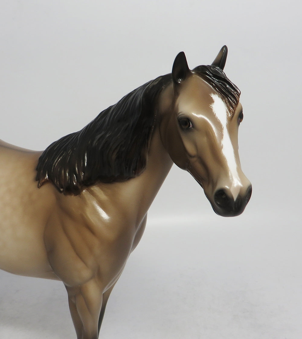 OPONKI-OOAK DAPPLE BUCKSKIN ISH MODEL HORSE 5/18/18