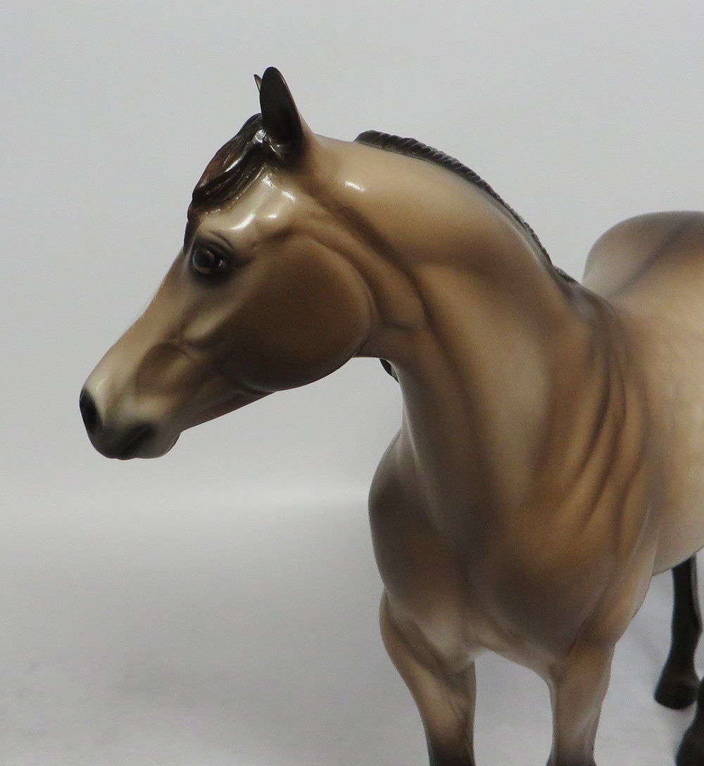 OPONKI-OOAK DAPPLE BUCKSKIN ISH MODEL HORSE 5/18/18