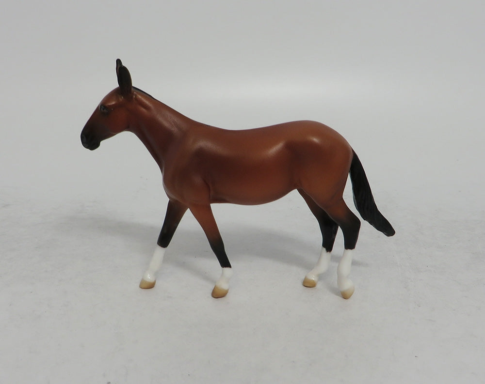 DOOKEY - OOAK BAY MULE CHIP EQ2018