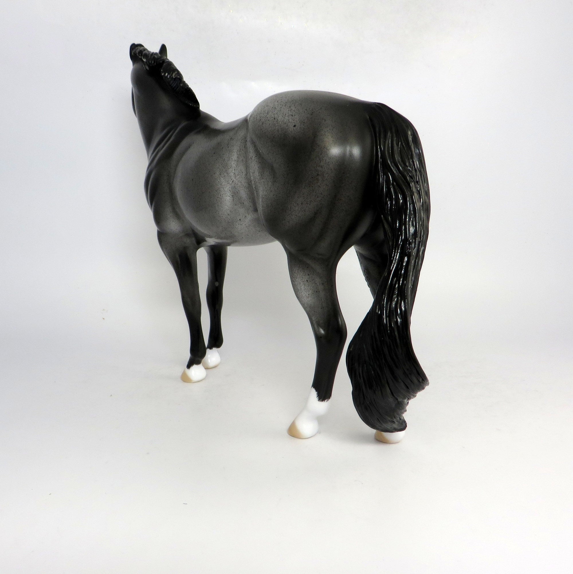 FUMBLE- OOAK BLUE ROAN ISH CUSTOM BY DAWN QUICK SB19