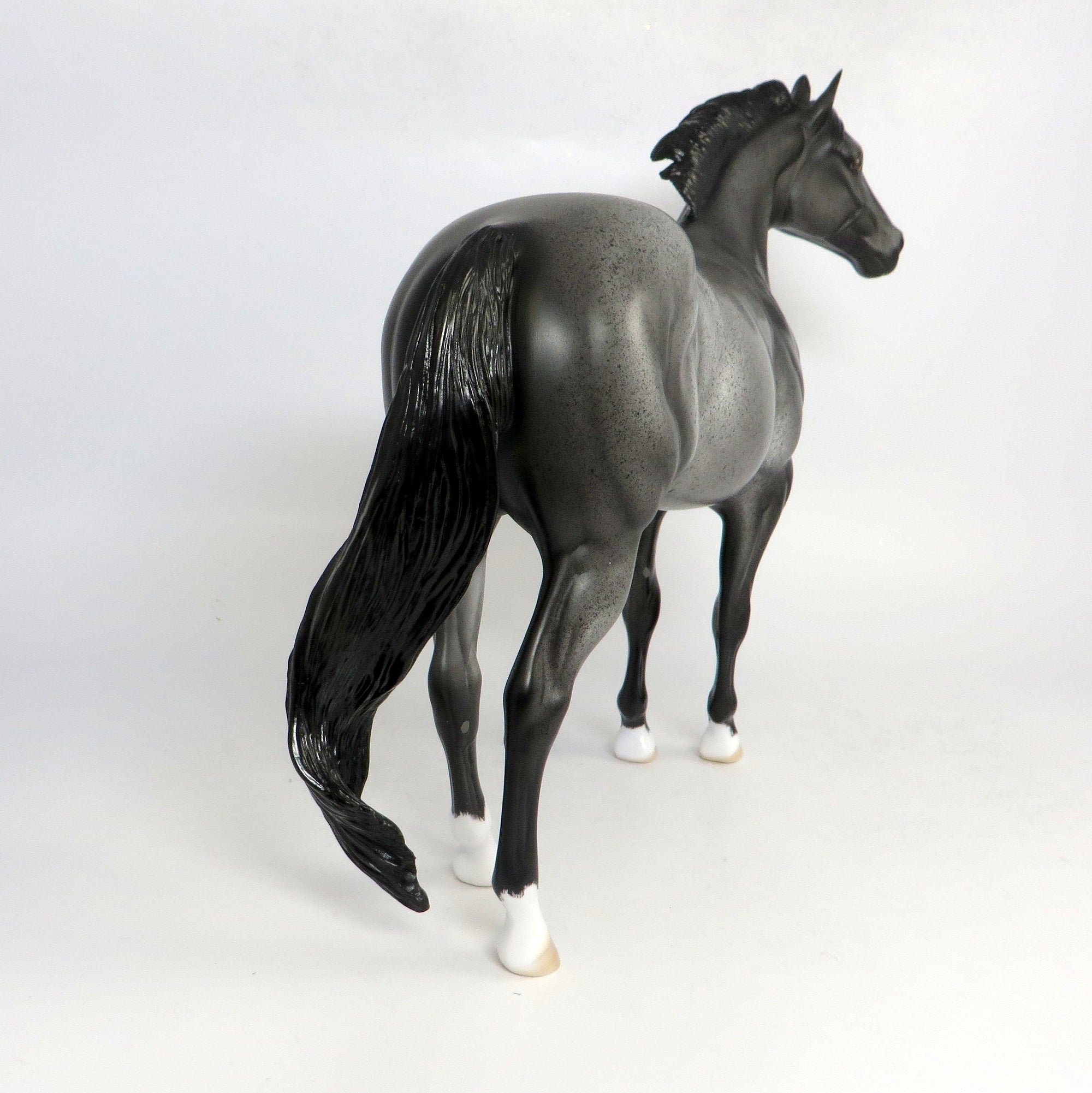 FUMBLE- OOAK BLUE ROAN ISH CUSTOM BY DAWN QUICK SB19