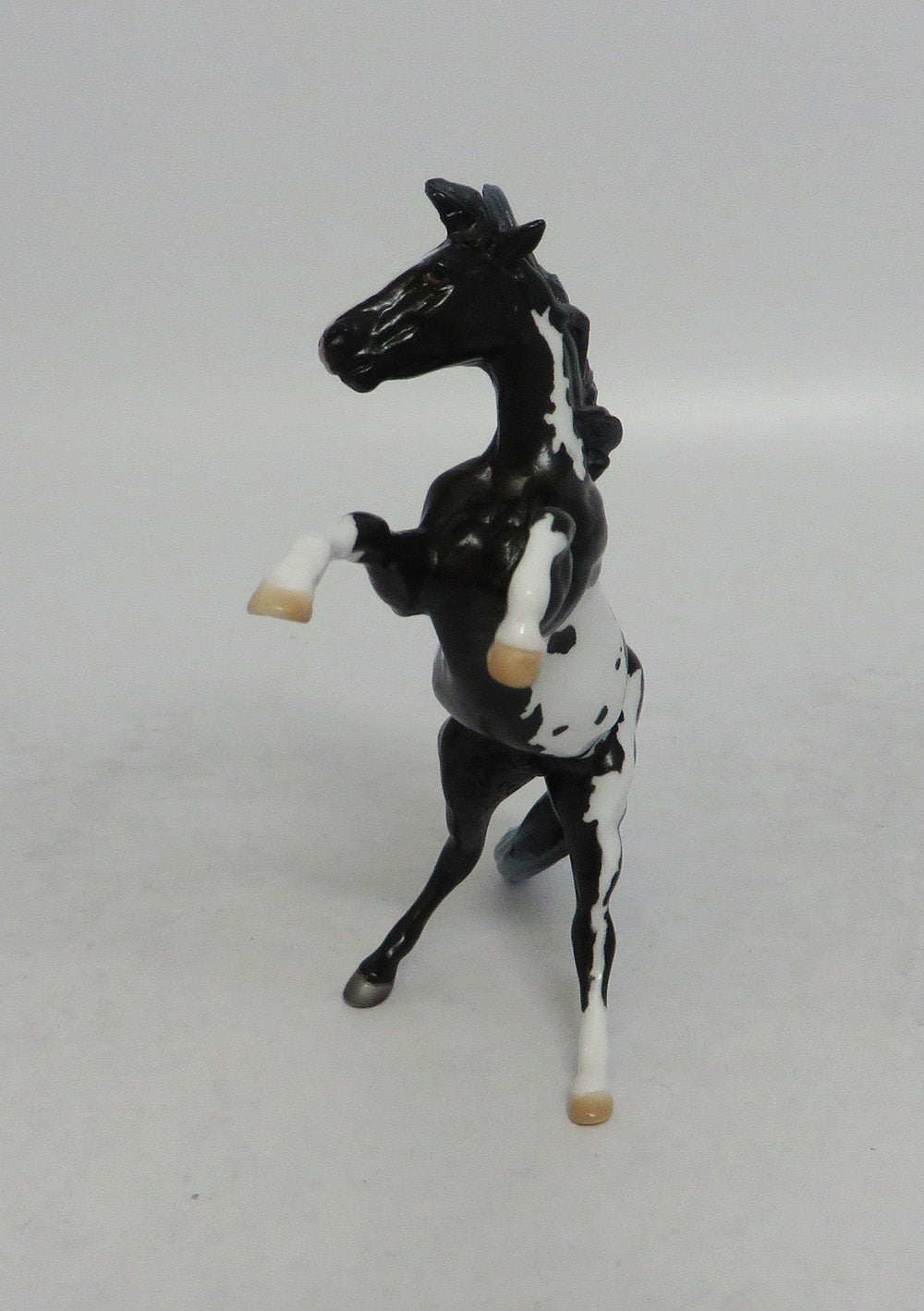PARTY LIKE A ROCKSTAR - OOAK BLACK PINTO REARING CHIP EQ2018