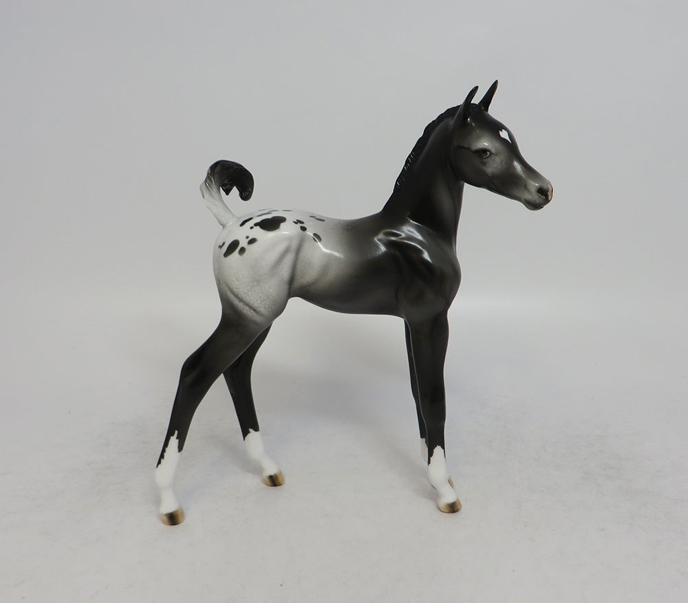 MIA CLAIR BEAR - LE14 BLACK APPALOOSA FOAL MODEL HORSE EQ2018