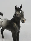 MIA CLAIR BEAR - LE14 BLACK APPALOOSA FOAL MODEL HORSE EQ2018