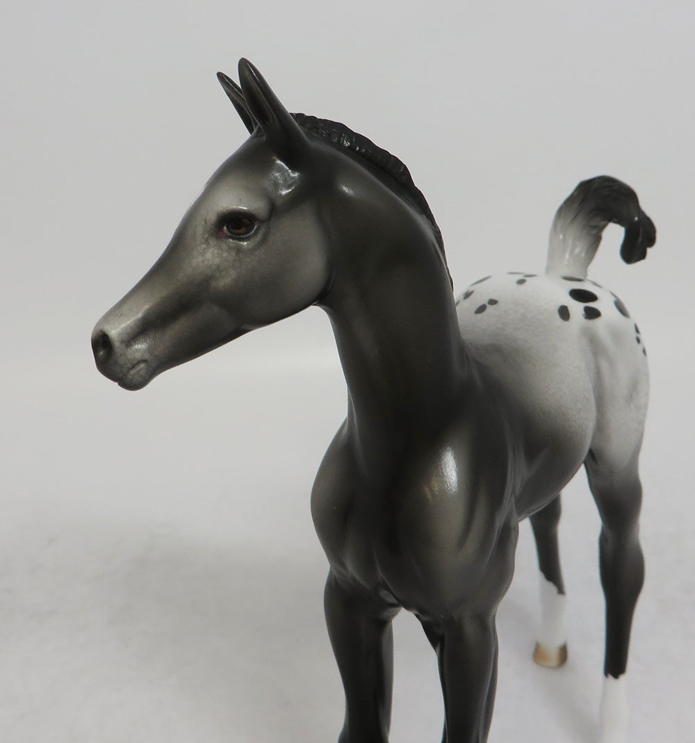 MIA CLAIR BEAR - LE14 BLACK APPALOOSA FOAL MODEL HORSE EQ2018