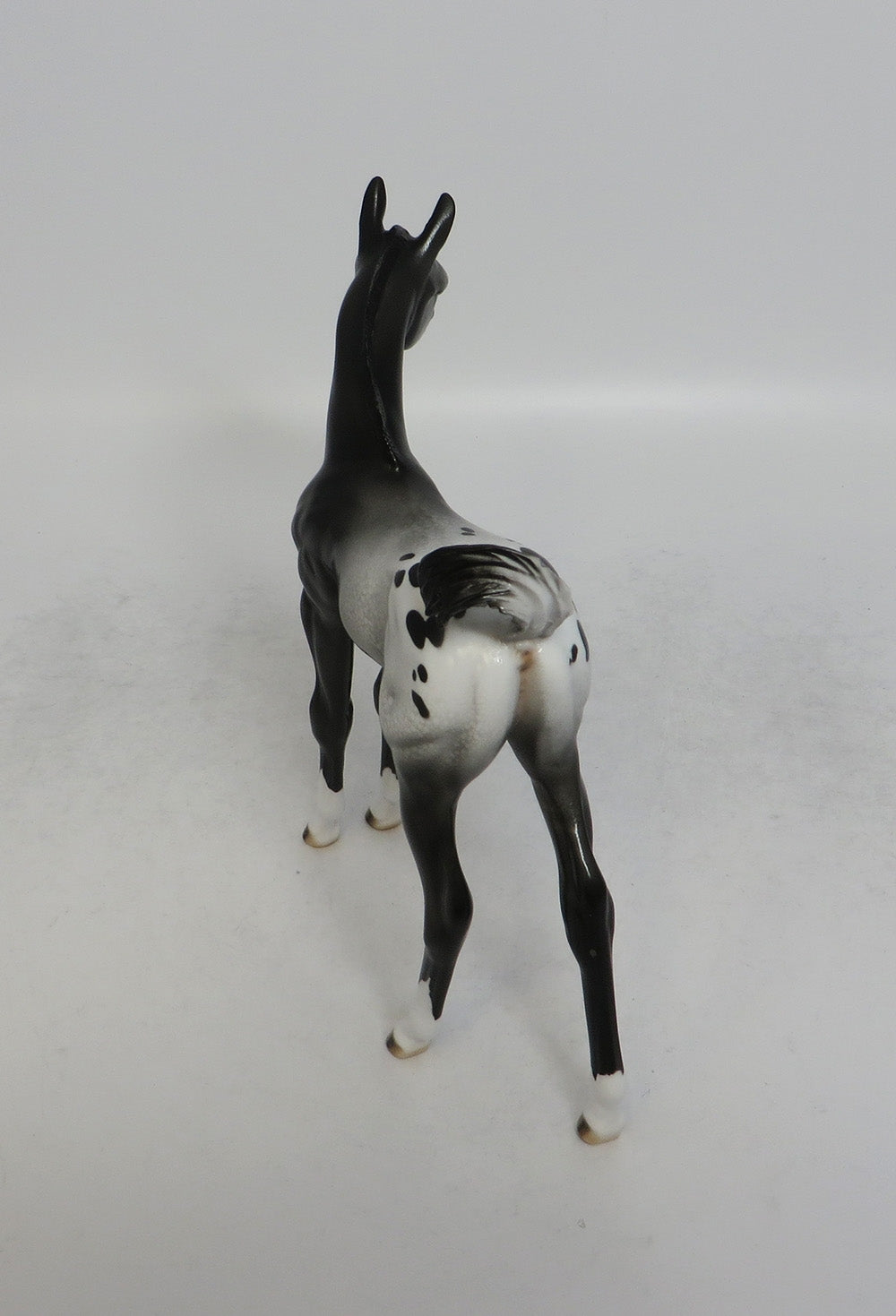 MIA CLAIR BEAR - LE14 BLACK APPALOOSA FOAL MODEL HORSE EQ2018