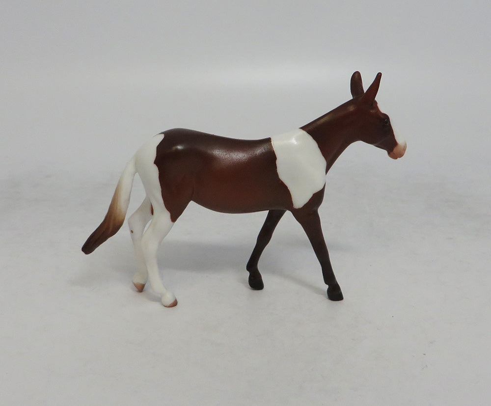 TESS - OOAK CHESTNUT PINTO MULE CHIP EQ2018