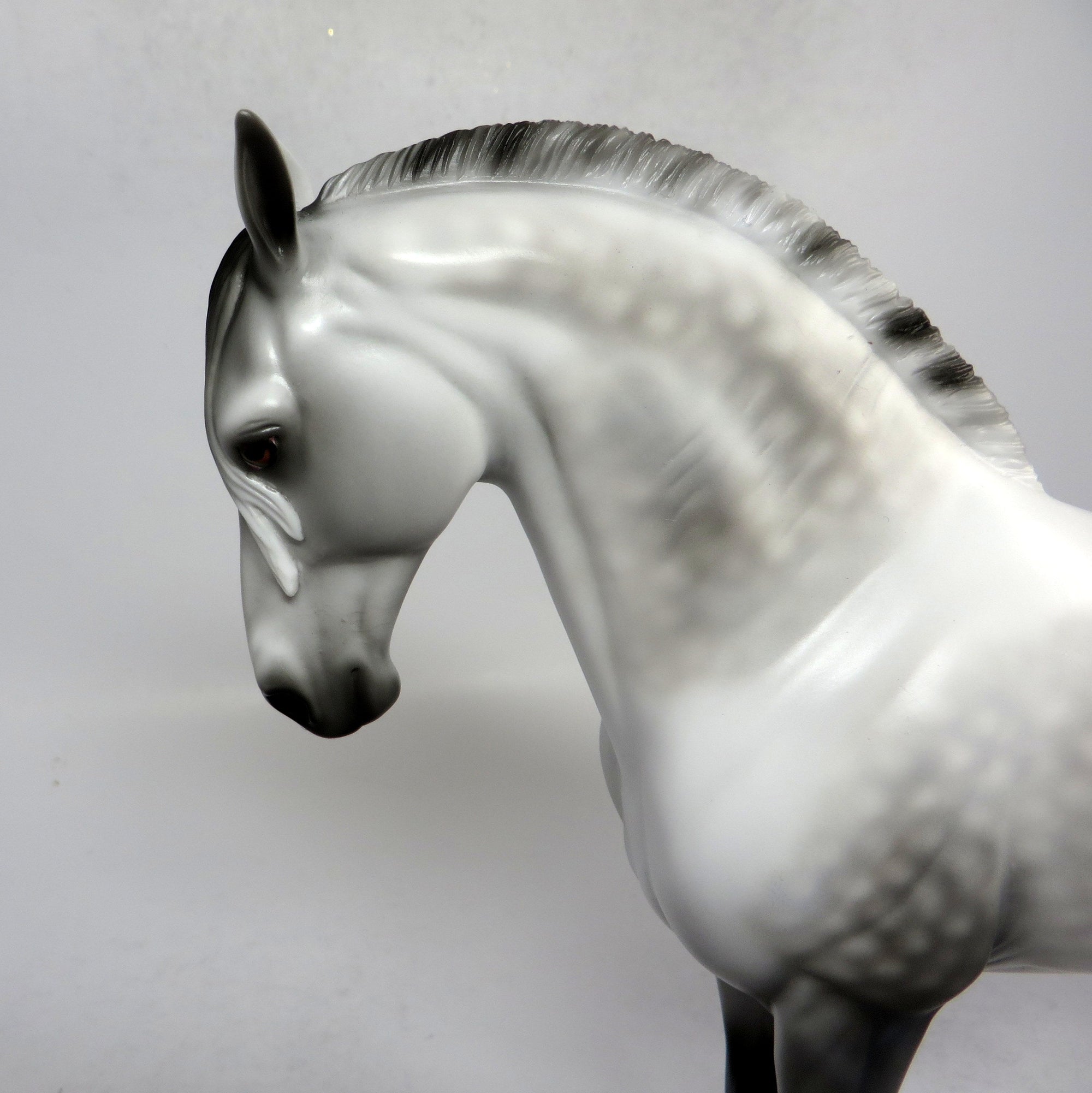 SPLASH OF CLASS-OOAK LIGHT DAPPLE GREY ANDALUSIAN MODEL HORSE 1/18/19