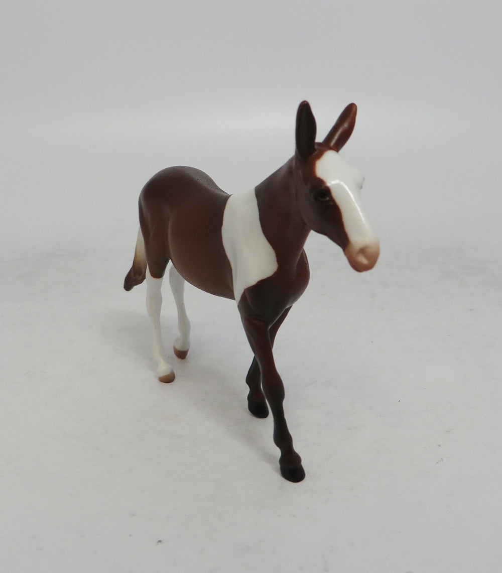 TESS - OOAK CHESTNUT PINTO MULE CHIP EQ2018