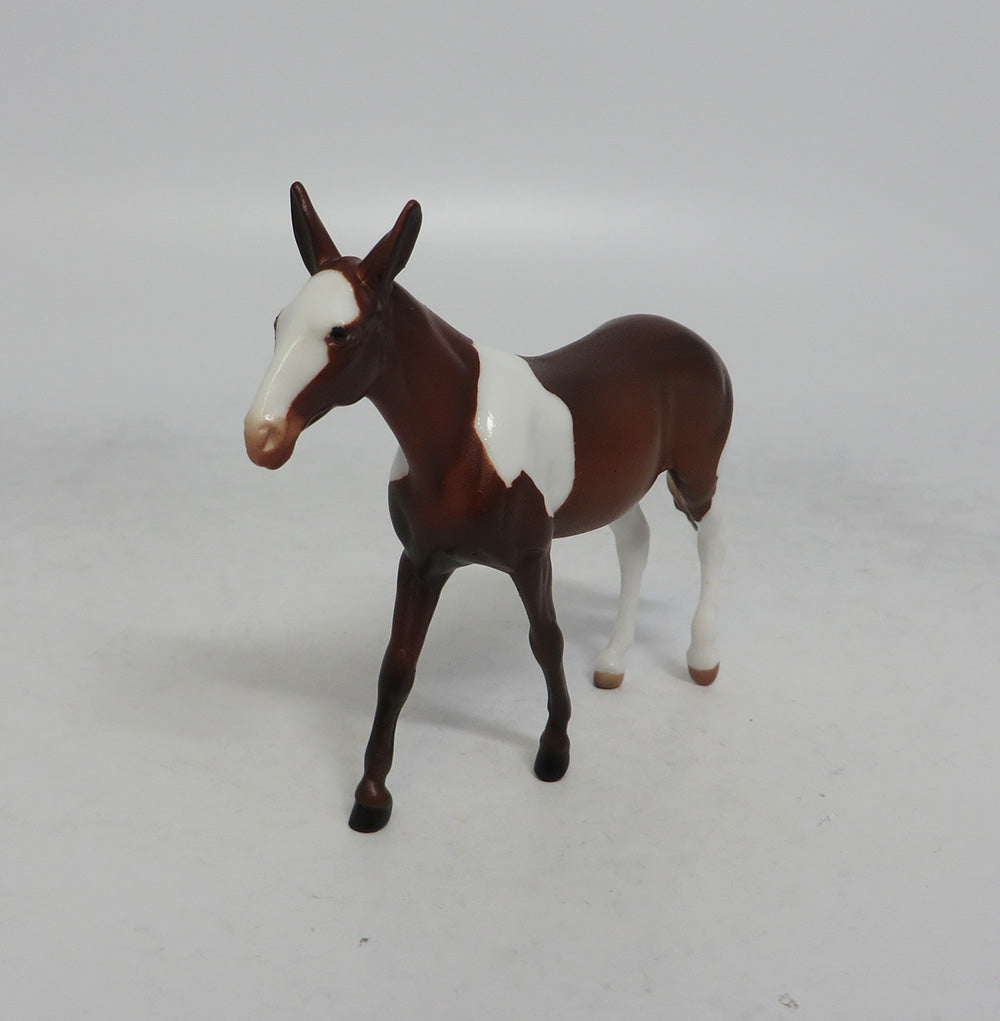 TESS - OOAK CHESTNUT PINTO MULE CHIP EQ2018