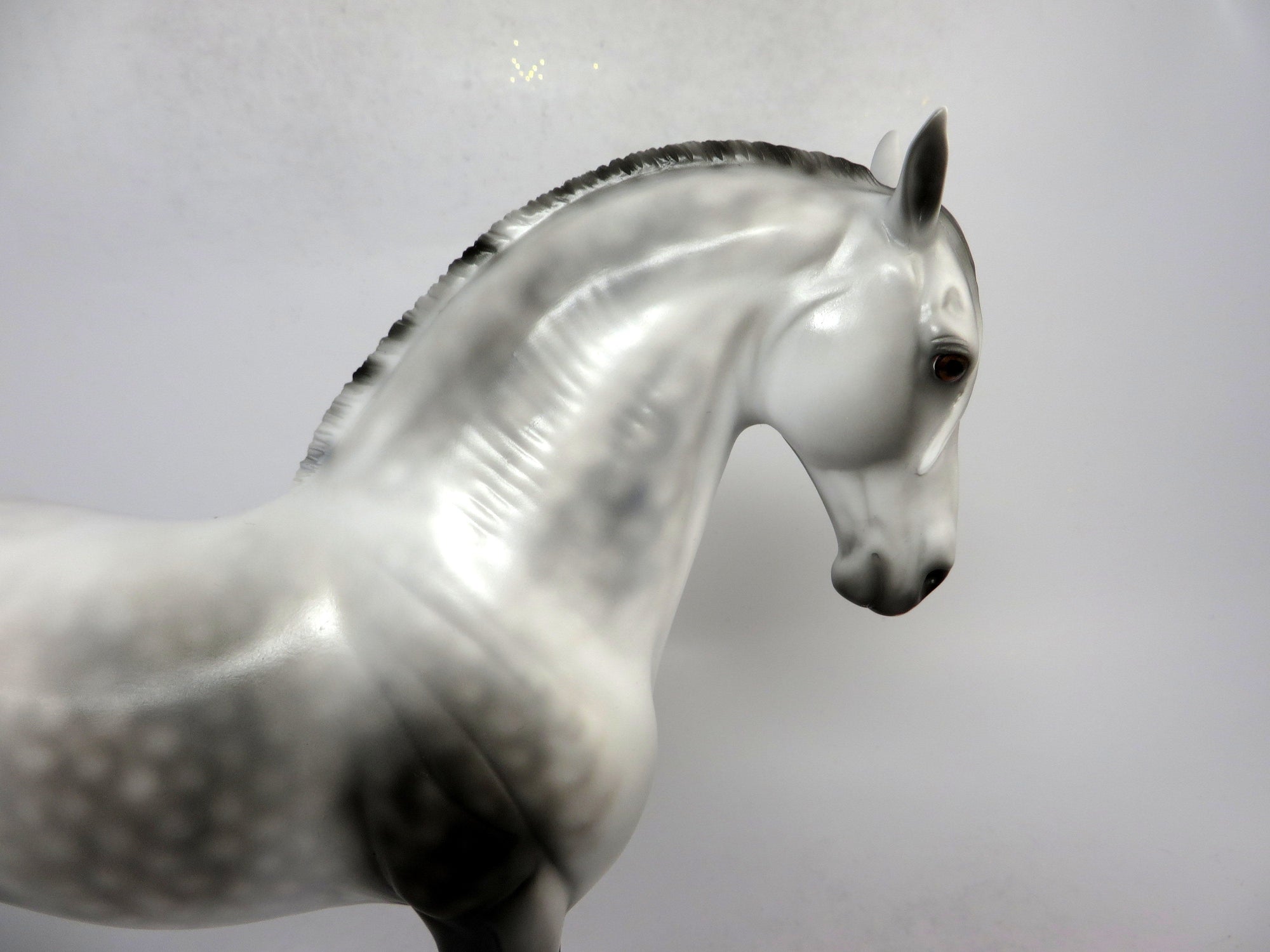 SPLASH OF CLASS-OOAK LIGHT DAPPLE GREY ANDALUSIAN MODEL HORSE 1/18/19