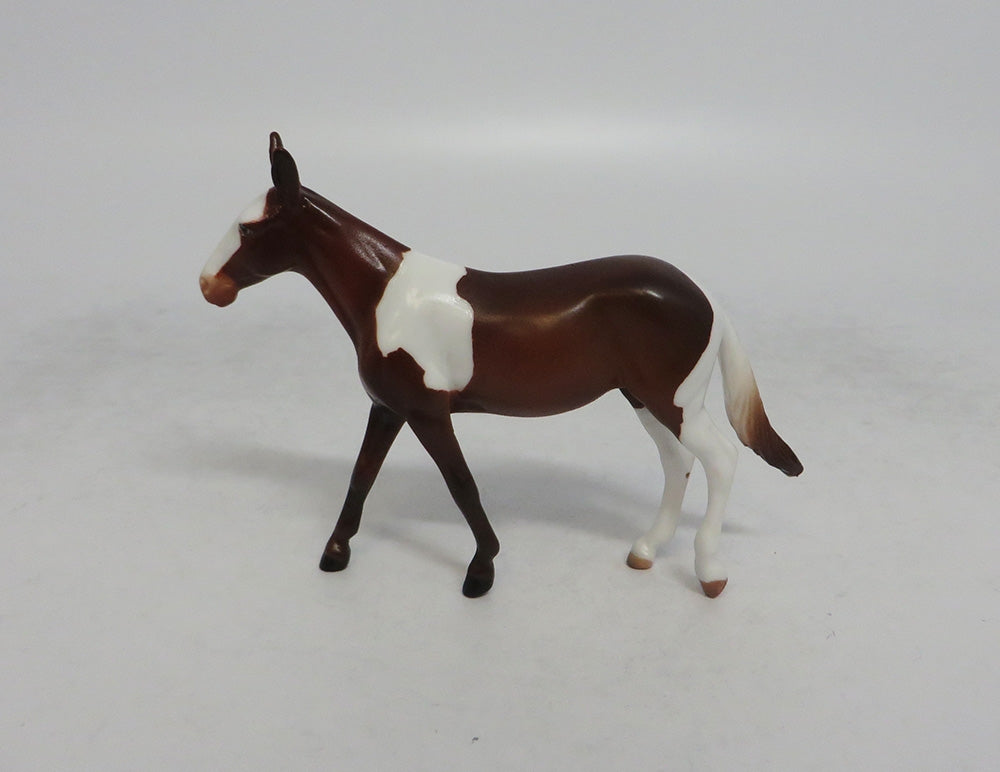 TESS - OOAK CHESTNUT PINTO MULE CHIP EQ2018