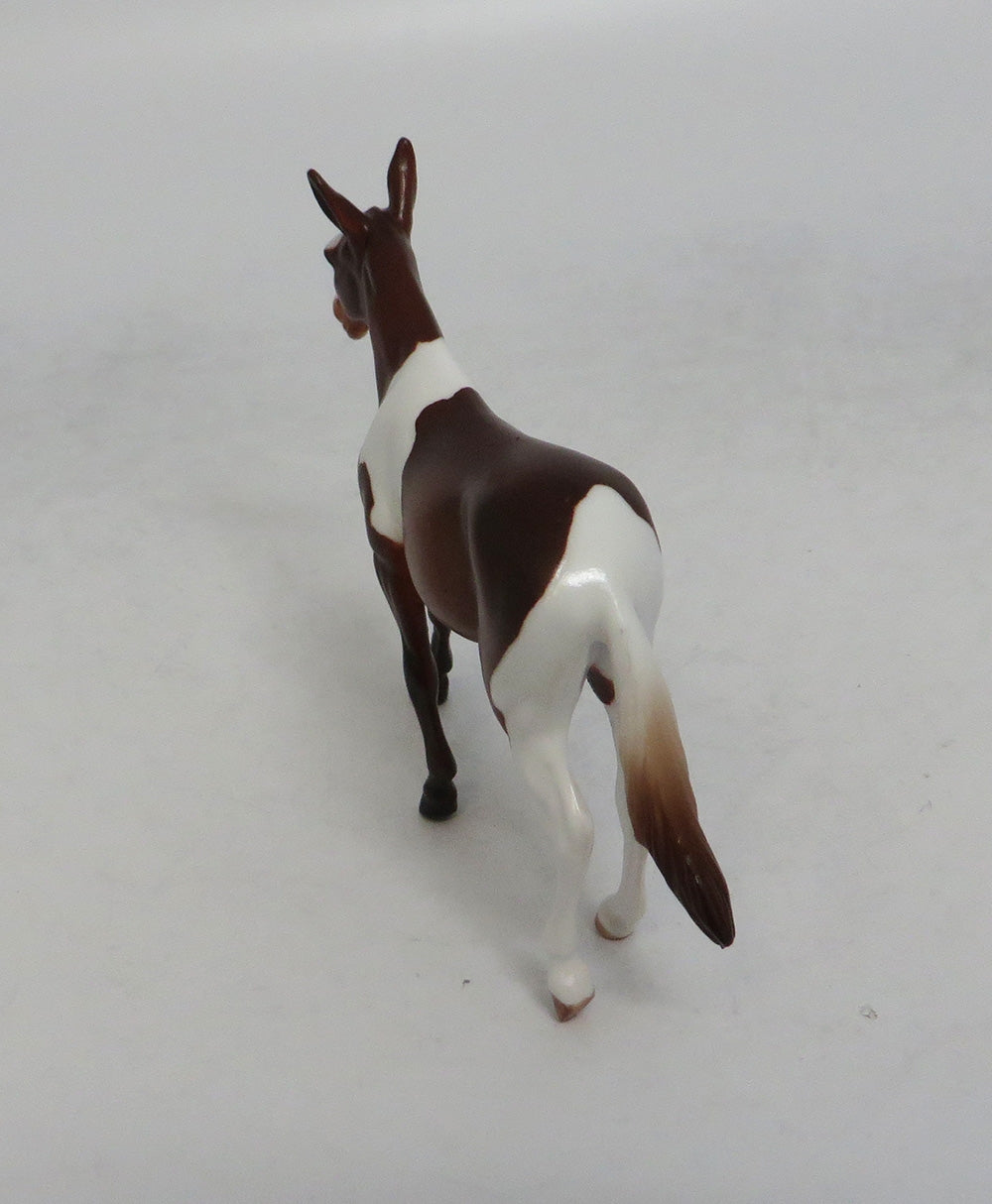 TESS - OOAK CHESTNUT PINTO MULE CHIP EQ2018