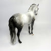 SPLASH OF CLASS-OOAK LIGHT DAPPLE GREY ANDALUSIAN MODEL HORSE 1/18/19