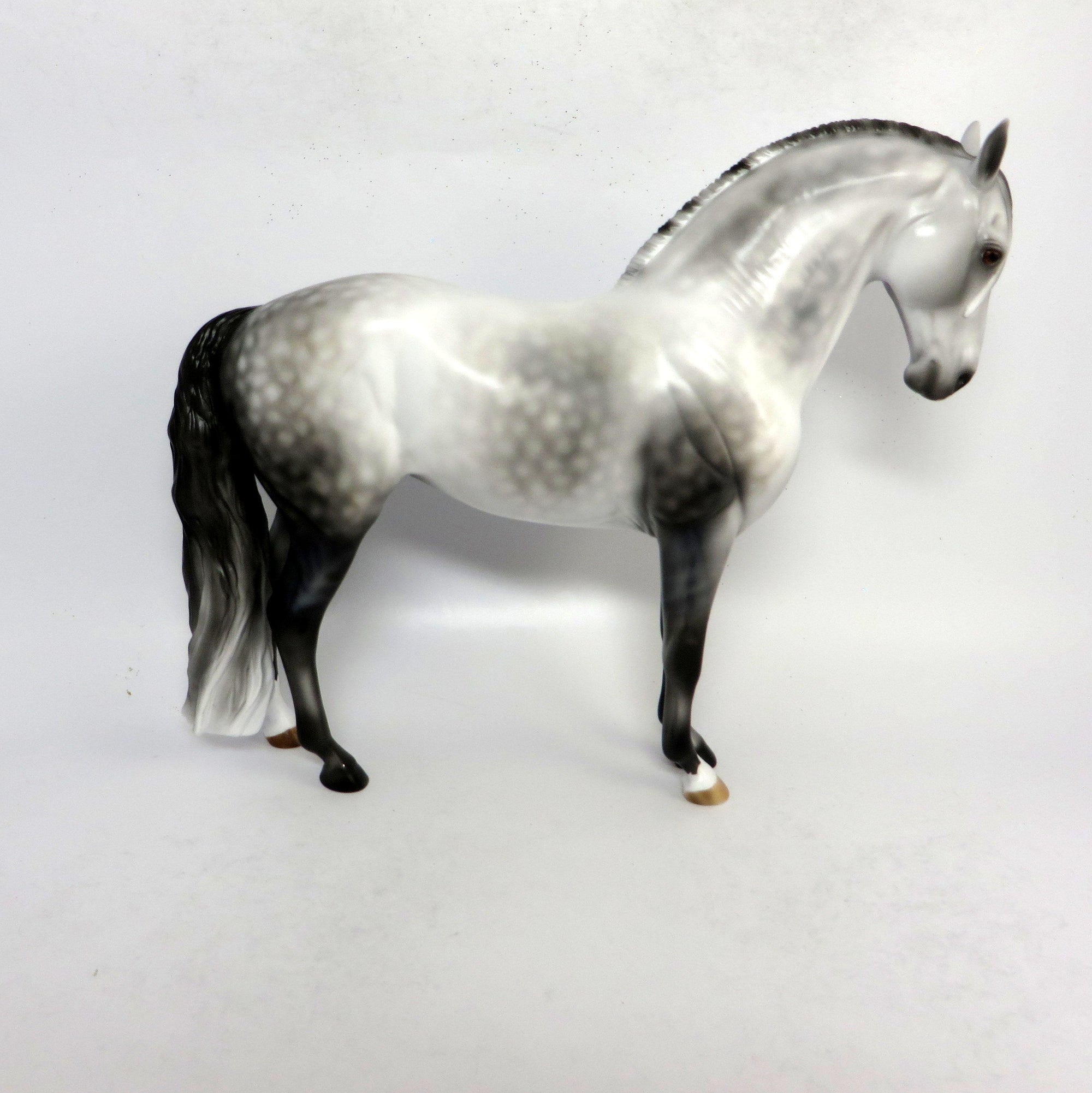 SPLASH OF CLASS-OOAK LIGHT DAPPLE GREY ANDALUSIAN MODEL HORSE 1/18/19