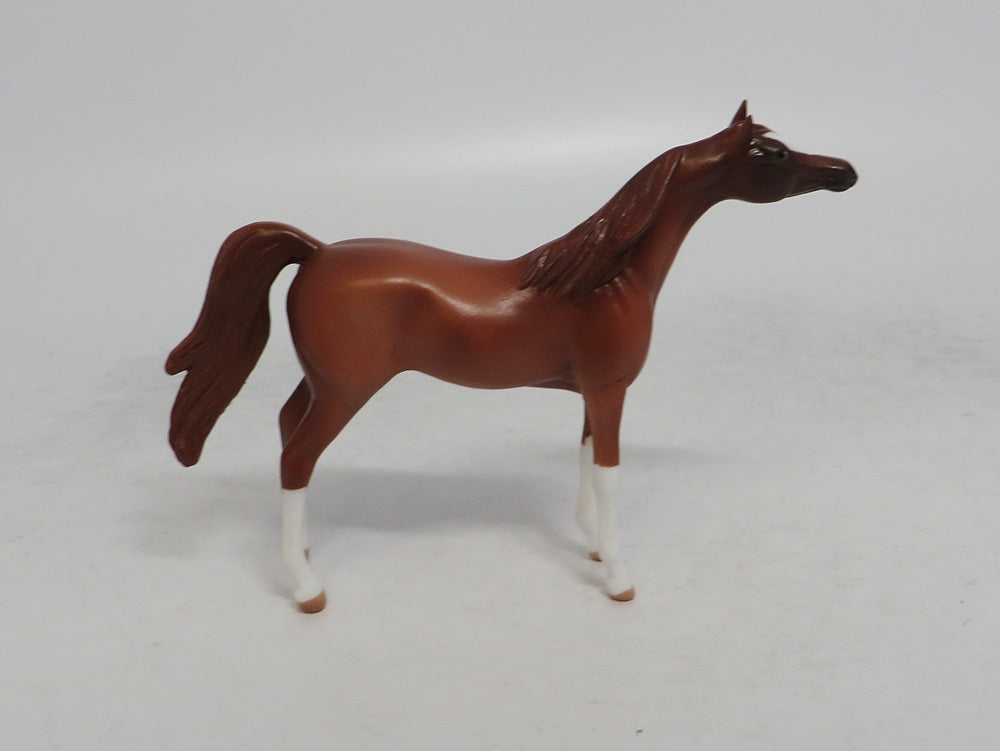 CINNAMON GIRL - OOAK CHESTNUT PINTO ARABIAN CHIP EQ2018