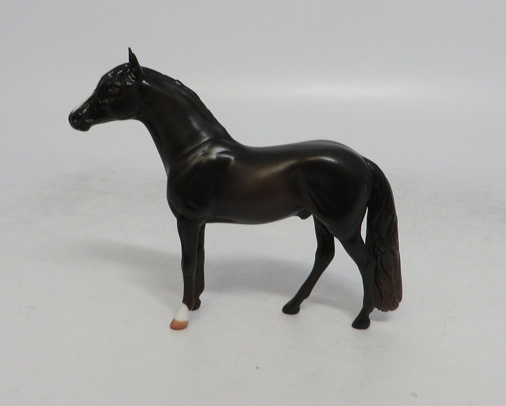 RUGER - OOAK DARK CHESTNUT ANDALUSIAN CHIP EQ2018