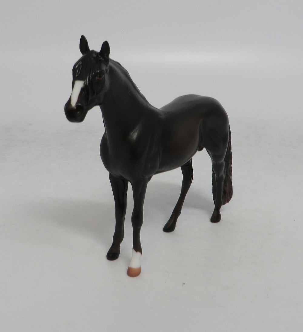 RUGER - OOAK DARK CHESTNUT ANDALUSIAN CHIP EQ2018