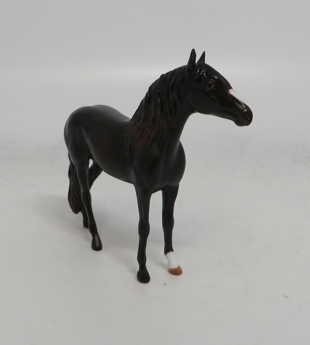 RUGER - OOAK DARK CHESTNUT ANDALUSIAN CHIP EQ2018