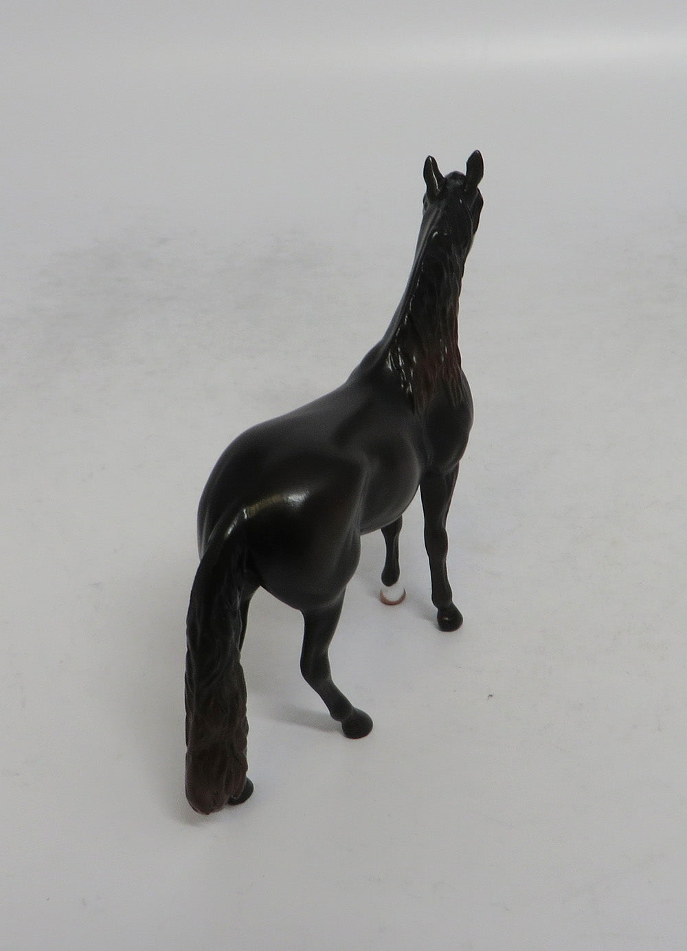 RUGER - OOAK DARK CHESTNUT ANDALUSIAN CHIP EQ2018