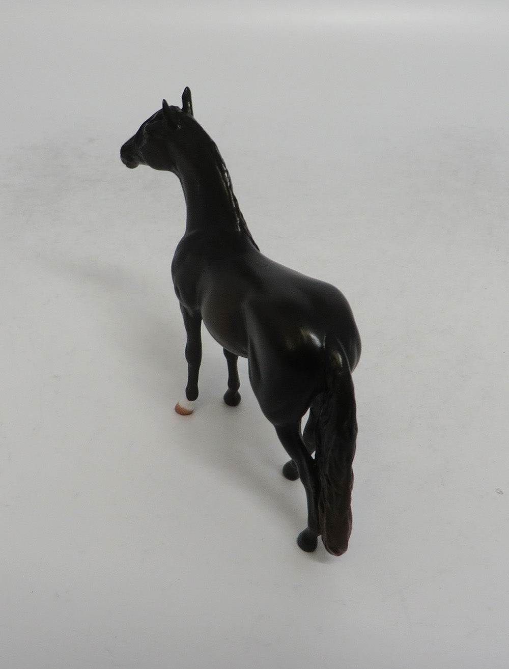 RUGER - OOAK DARK CHESTNUT ANDALUSIAN CHIP EQ2018