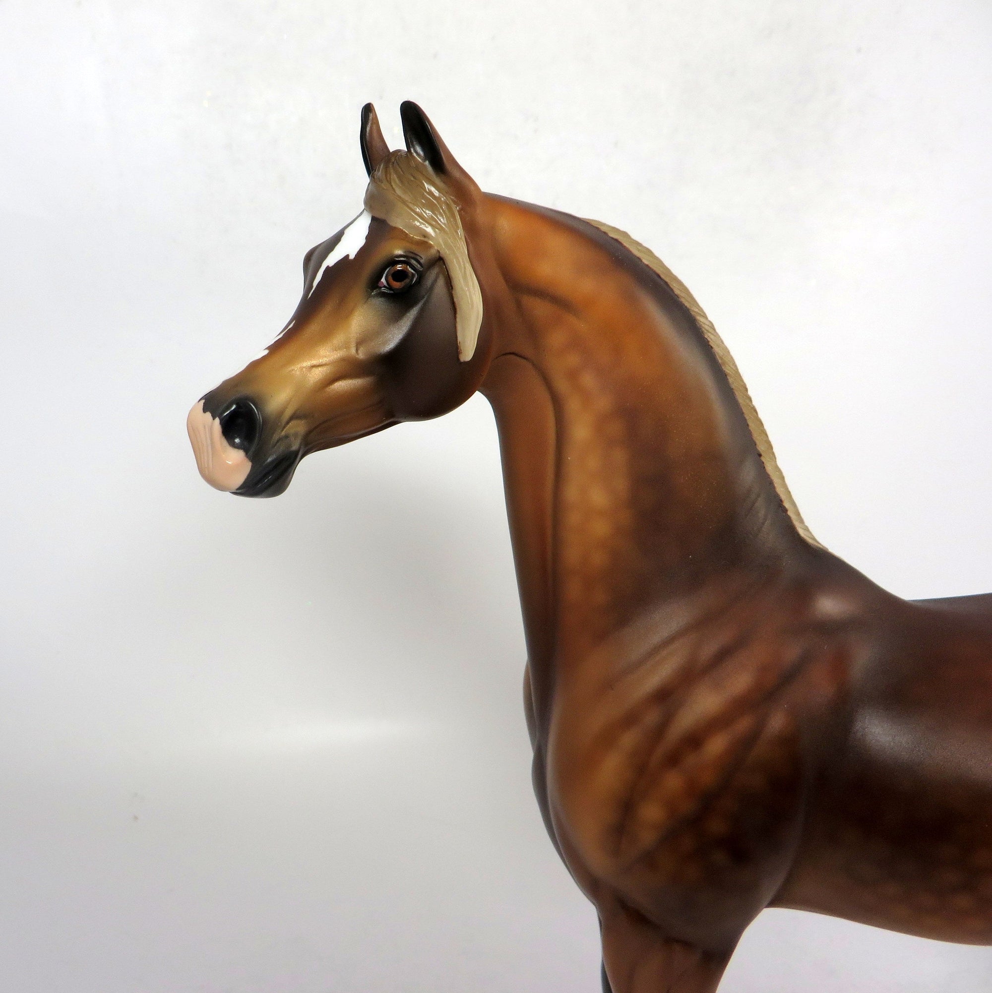 AUTUMN- OOAK DAPPLED CHESTNUT FLAXEN MANE AN TAIL 1-18-19