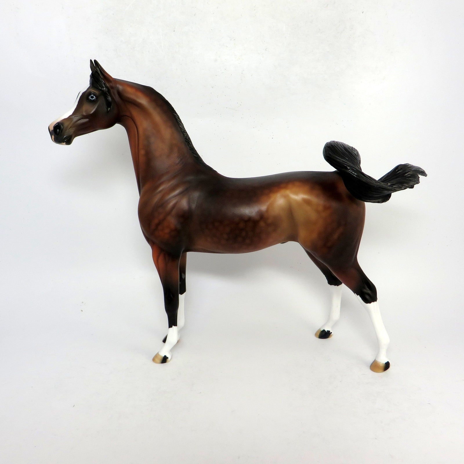 HANK - OOAK DAPPLED BAY CUSTOM ARABIN BY AUDREY  DIXON 1-18-19