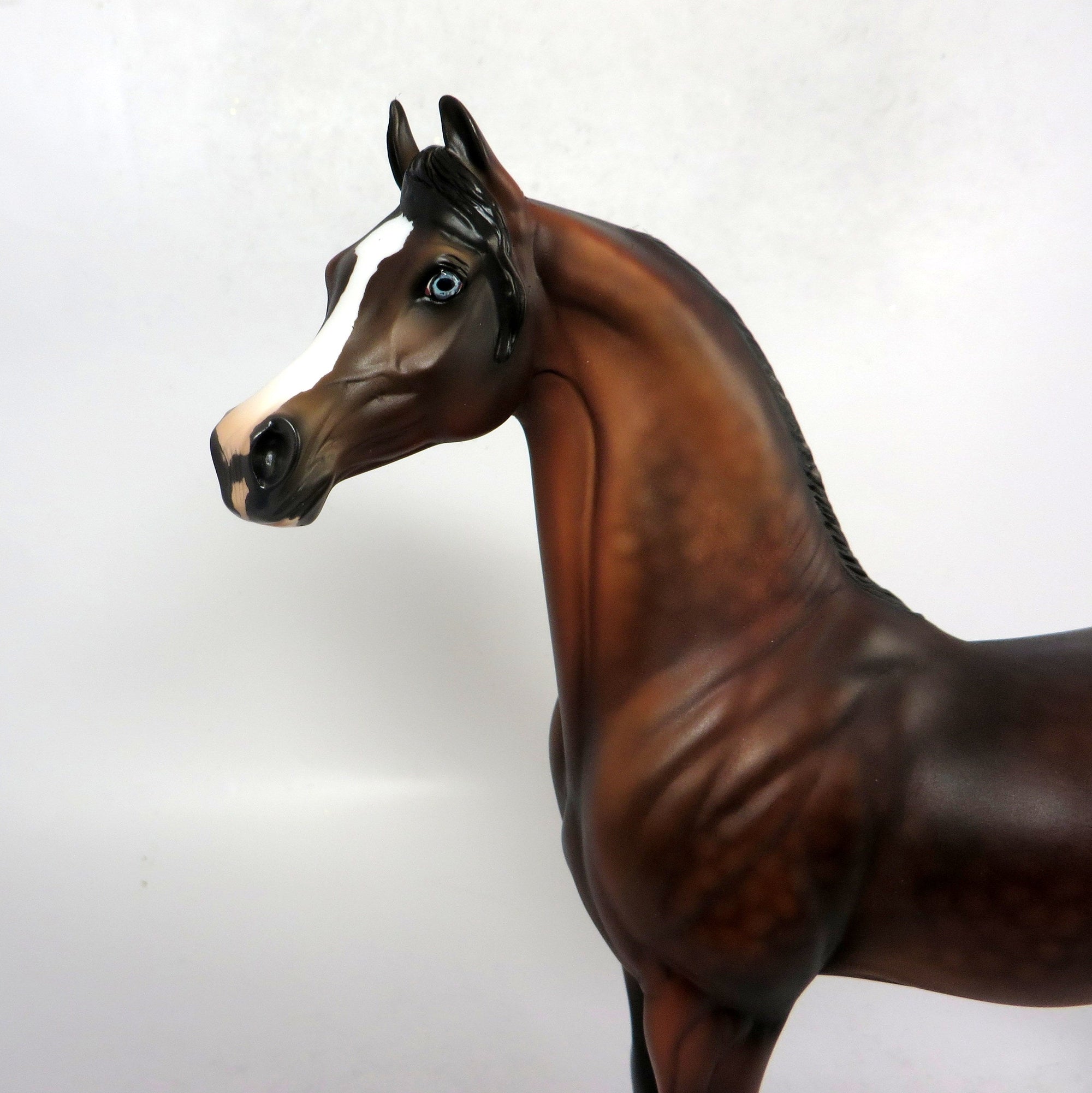 HANK - OOAK DAPPLED BAY CUSTOM ARABIN BY AUDREY  DIXON 1-18-19