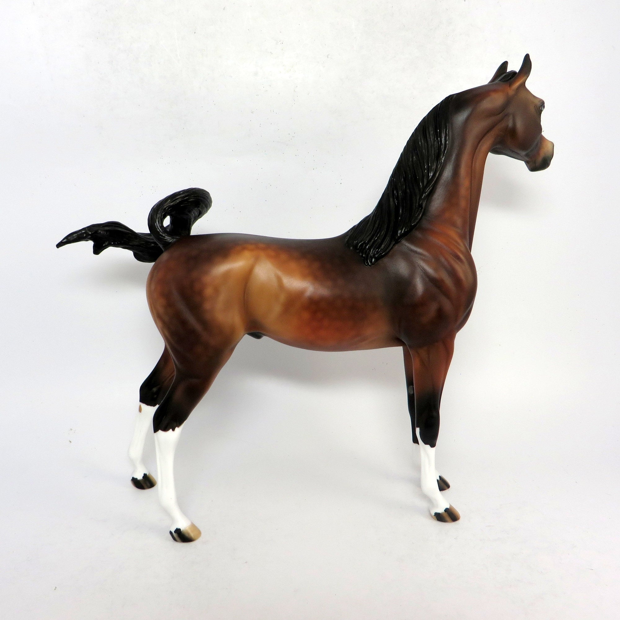 HANK - OOAK DAPPLED BAY CUSTOM ARABIN BY AUDREY  DIXON 1-18-19