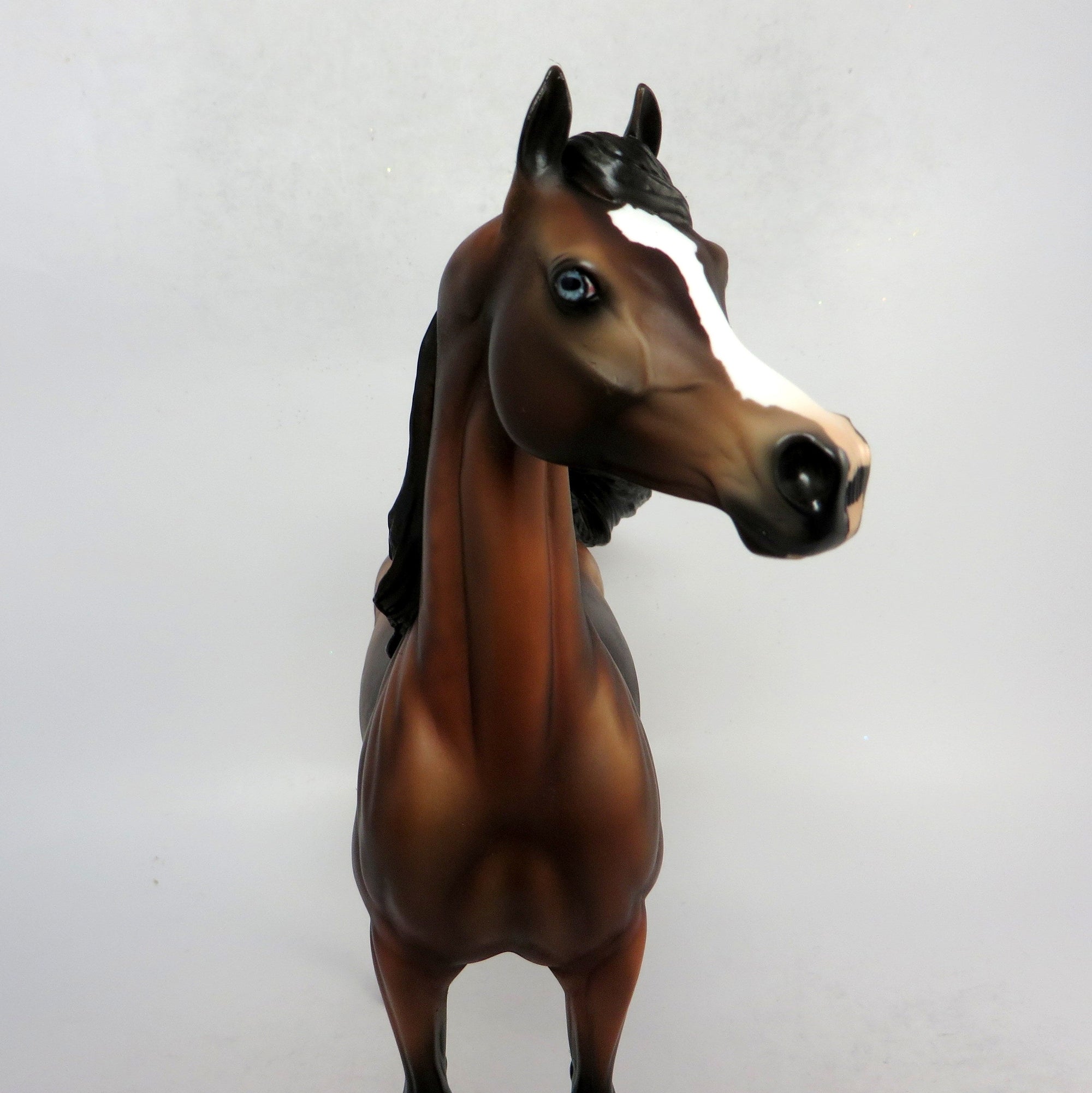 HANK - OOAK DAPPLED BAY CUSTOM ARABIN BY AUDREY  DIXON 1-18-19