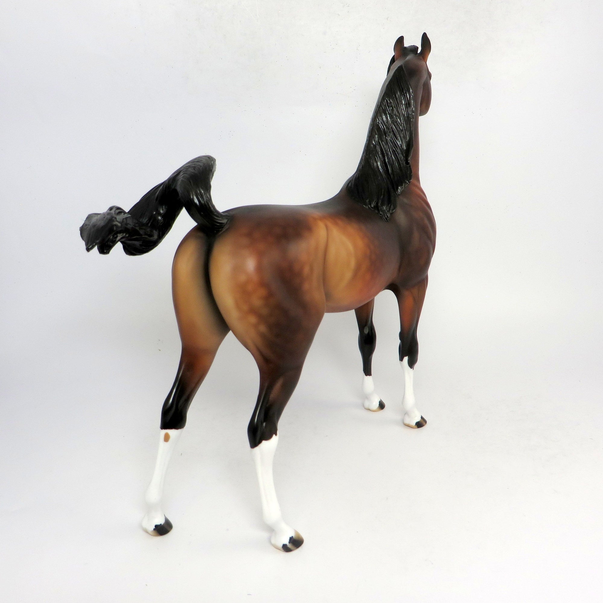 HANK - OOAK DAPPLED BAY CUSTOM ARABIN BY AUDREY  DIXON 1-18-19