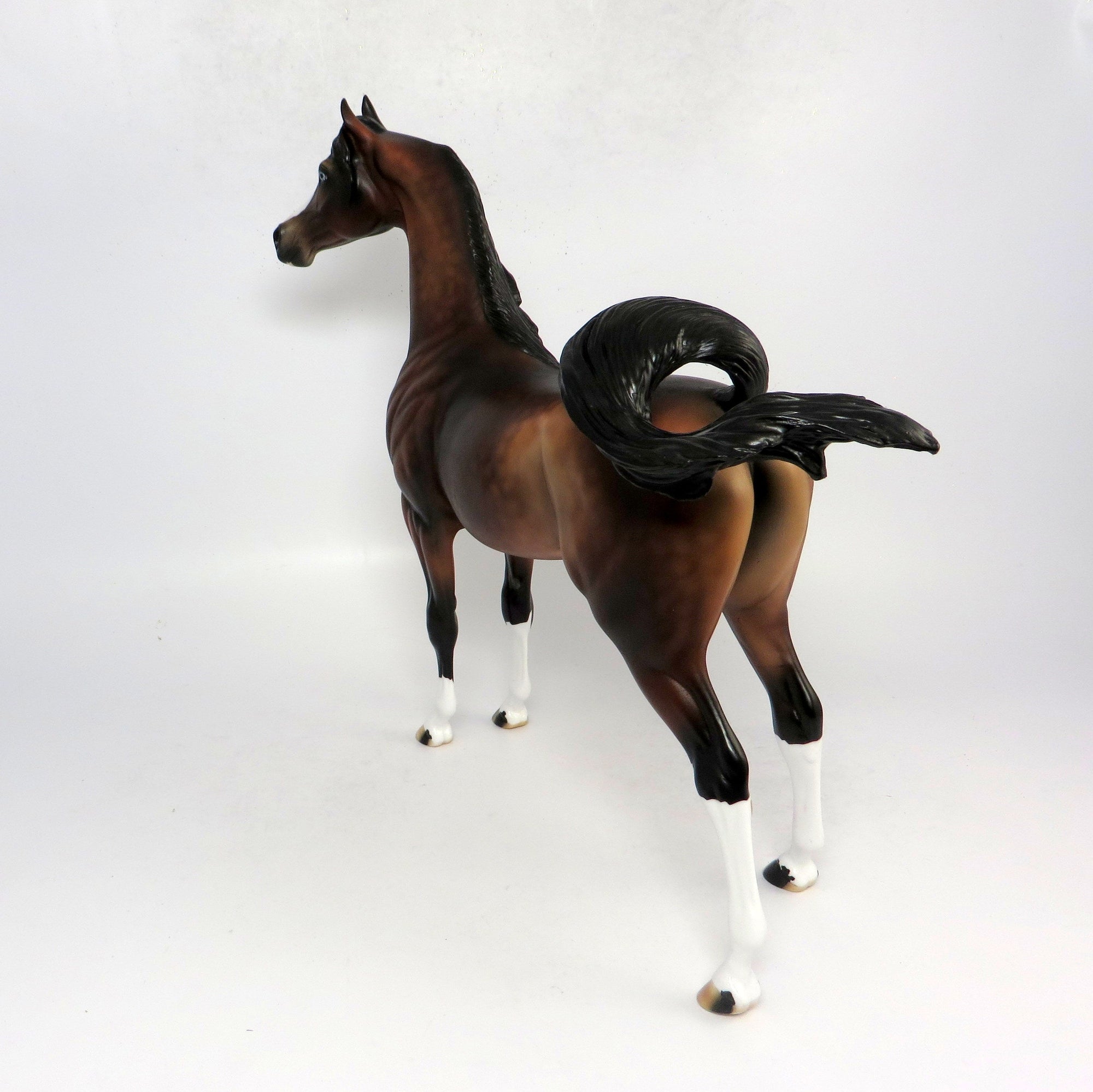 HANK - OOAK DAPPLED BAY CUSTOM ARABIN BY AUDREY  DIXON 1-18-19