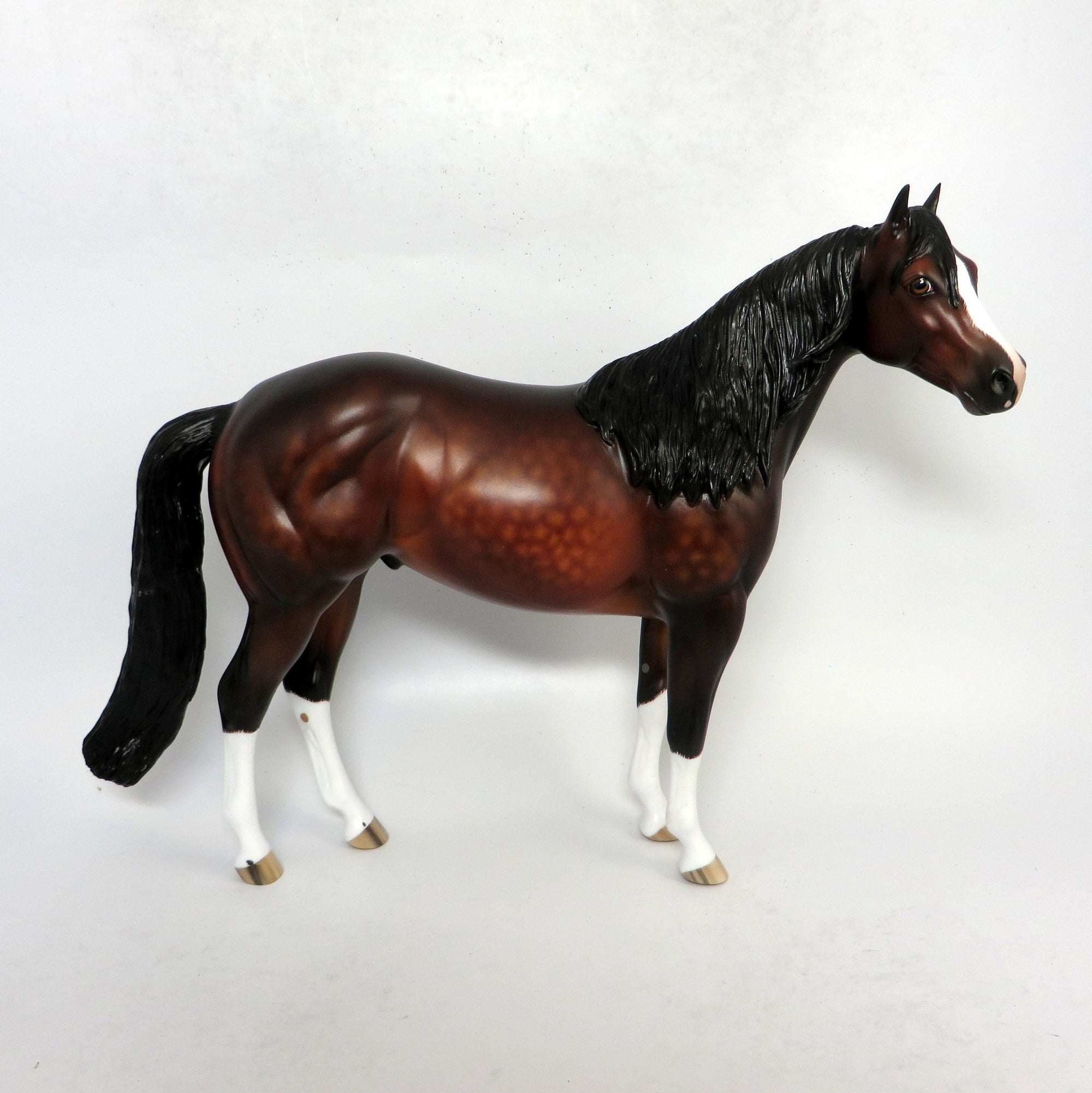 WOLFGANG- OOAK DAPPLED BAY ISH CUSTOM BY SHERLYL LEISURE