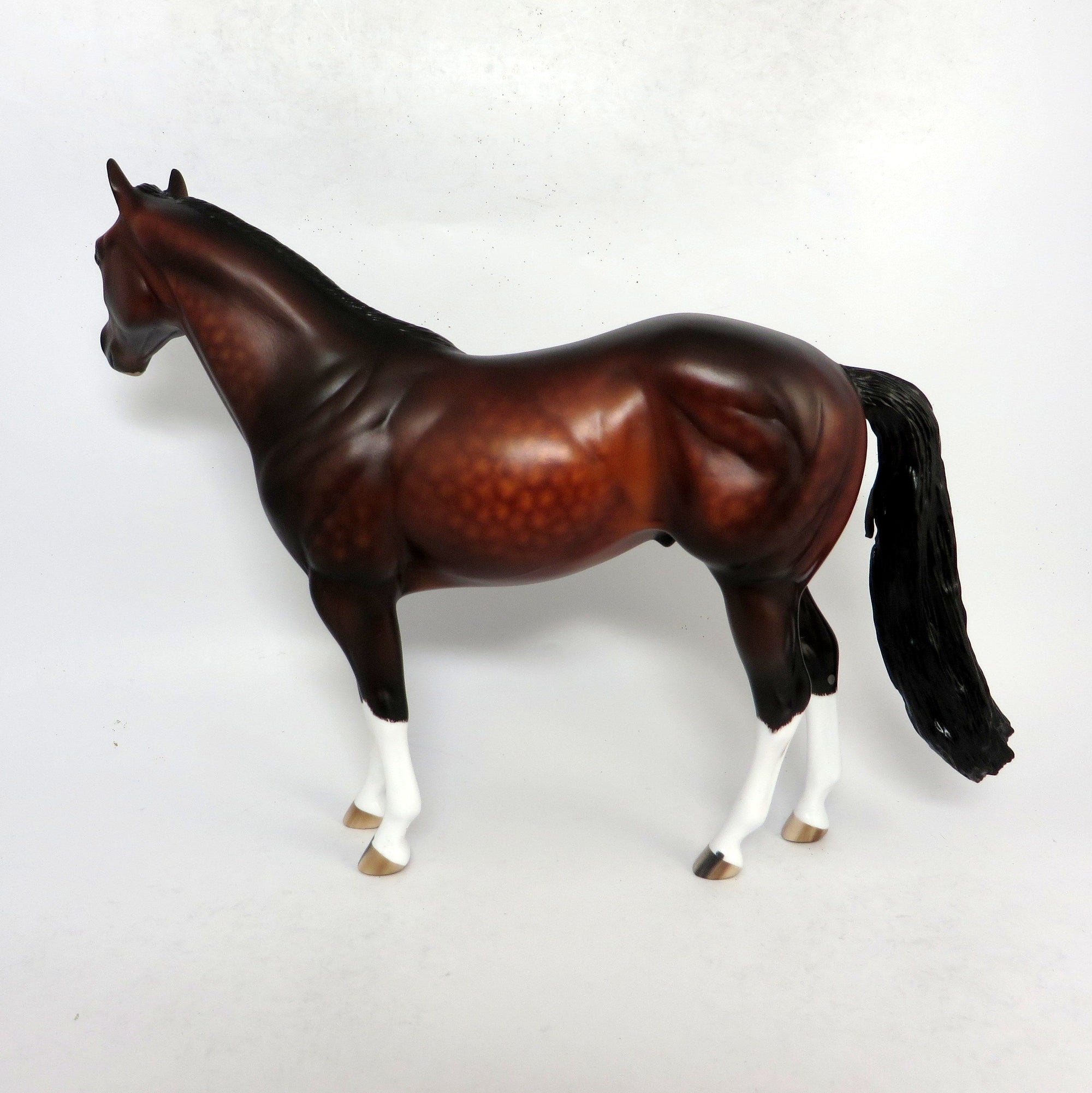 WOLFGANG- OOAK DAPPLED BAY ISH CUSTOM BY SHERLYL LEISURE