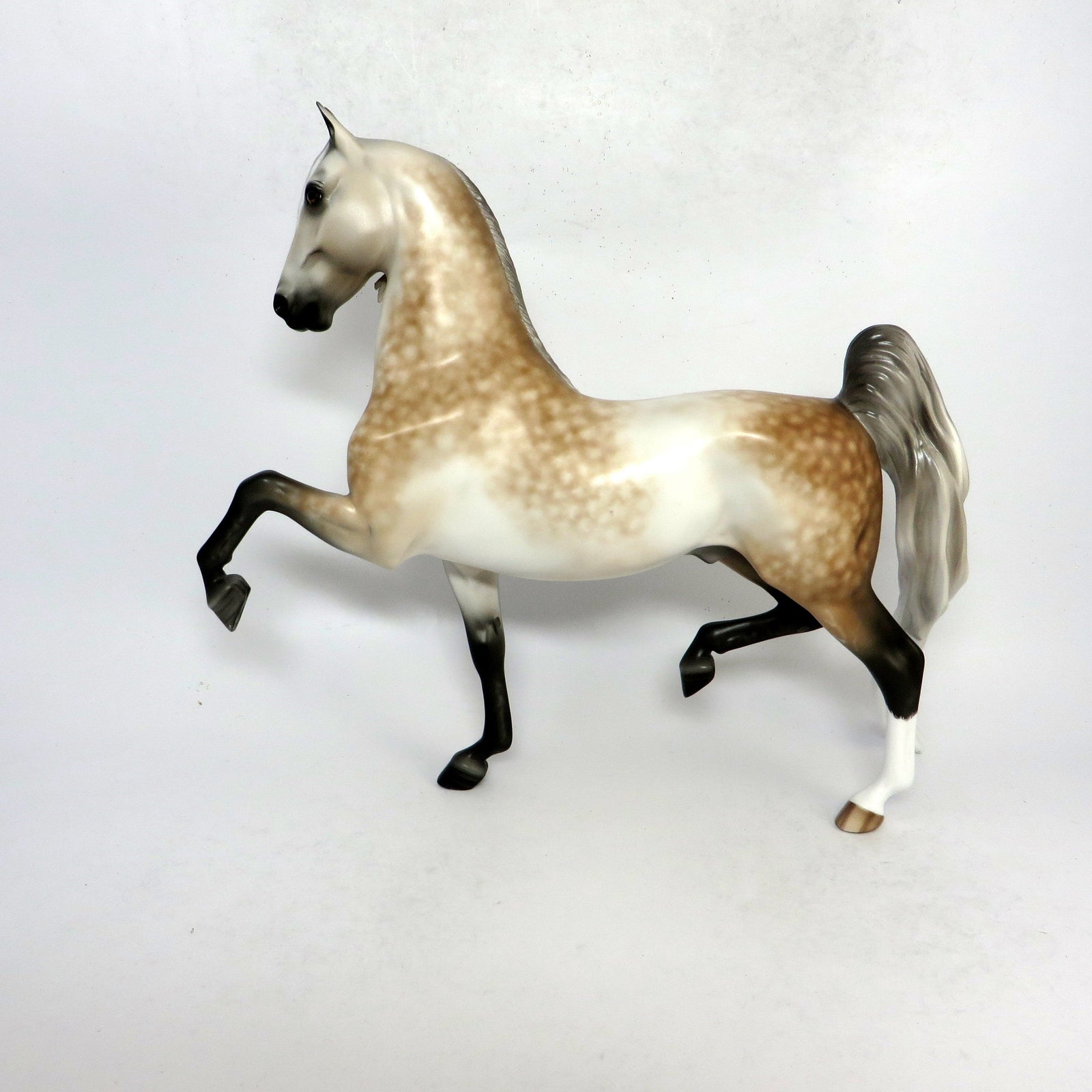 HANDEL- OOAK DAPPLED ROSE GREY SADDLEBRED BY SHERYL LEISURE 1-18-19
