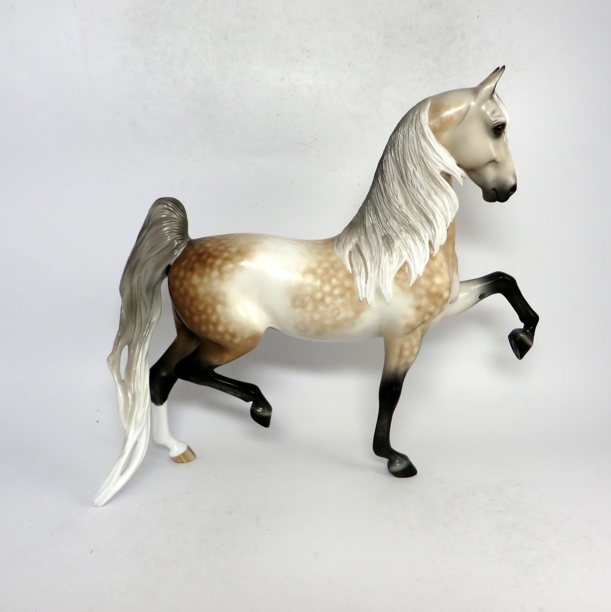HANDEL- OOAK DAPPLED ROSE GREY SADDLEBRED BY SHERYL LEISURE 1-18-19