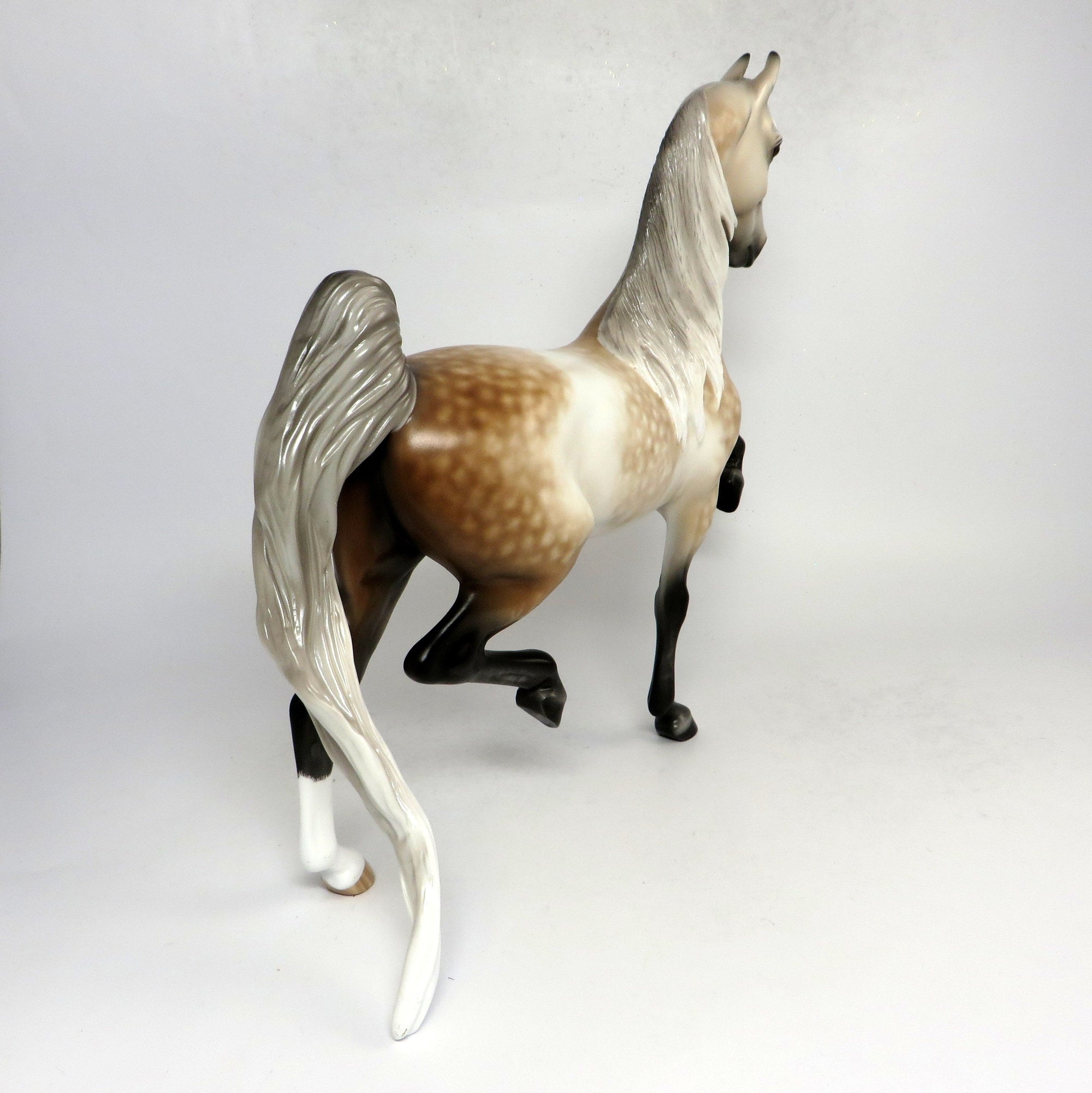 HANDEL- OOAK DAPPLED ROSE GREY SADDLEBRED BY SHERYL LEISURE 1-18-19