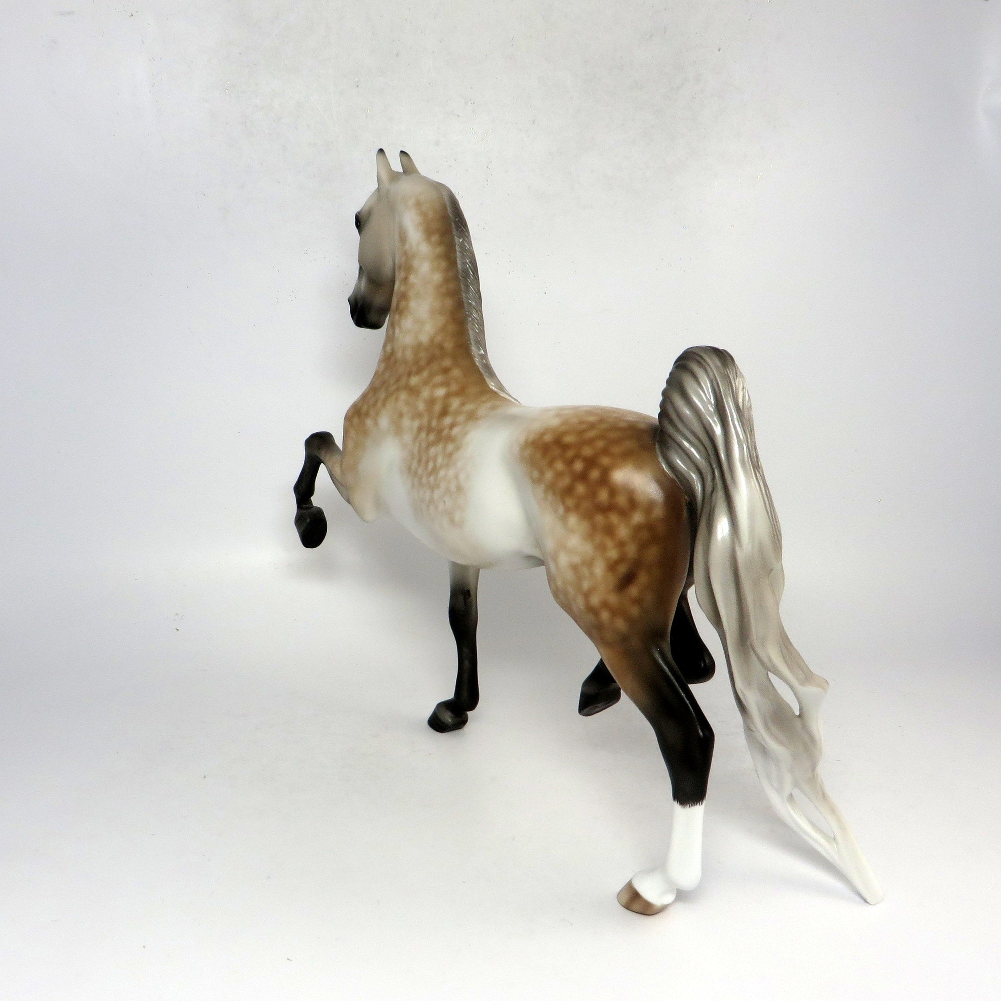 HANDEL- OOAK DAPPLED ROSE GREY SADDLEBRED BY SHERYL LEISURE 1-18-19