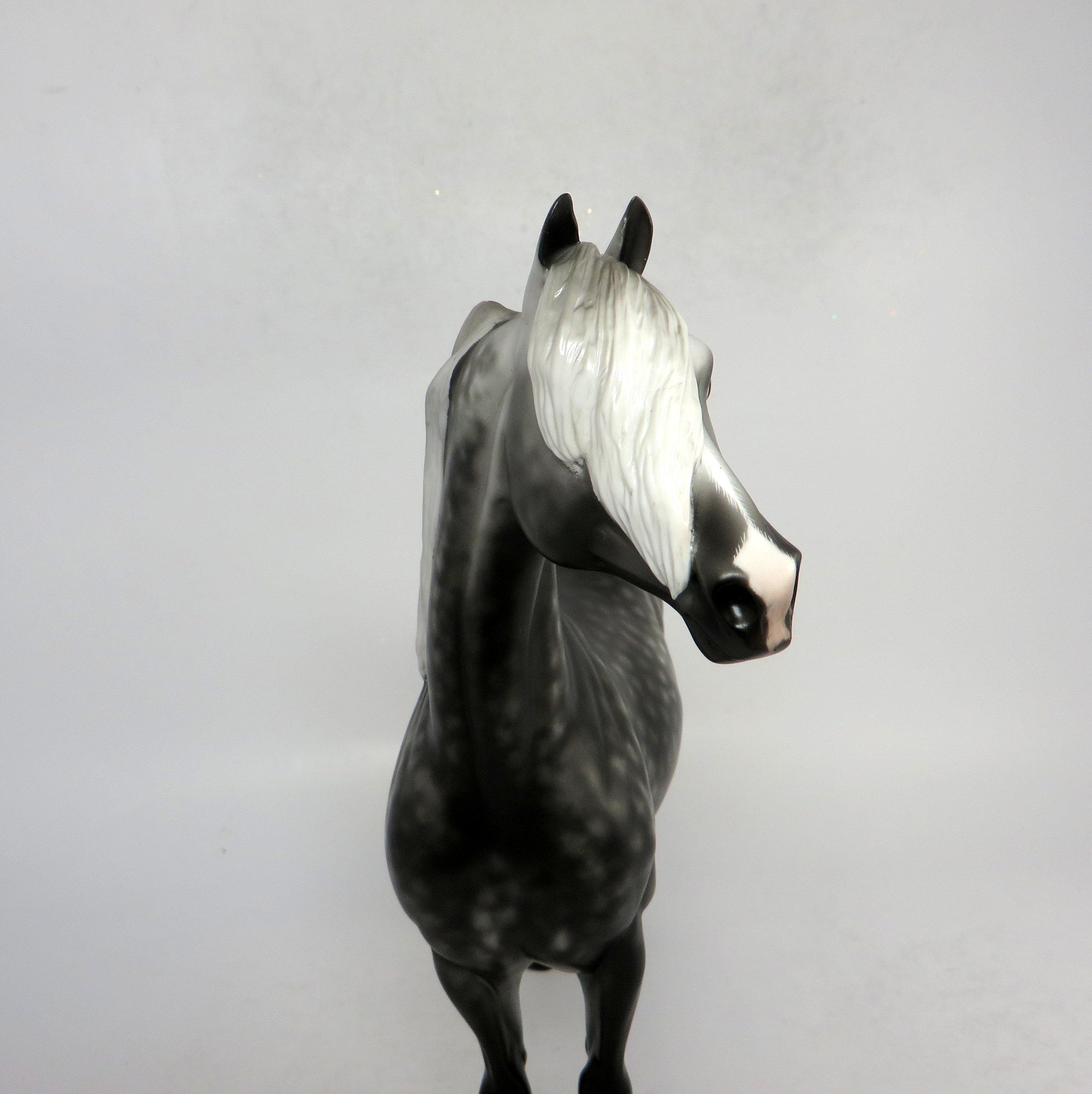 BRAHMS- OOAK STAR DAPPLEDDARK GREY  CUSTOM MORGAN BY SHERYL LEISURE 1-18-19