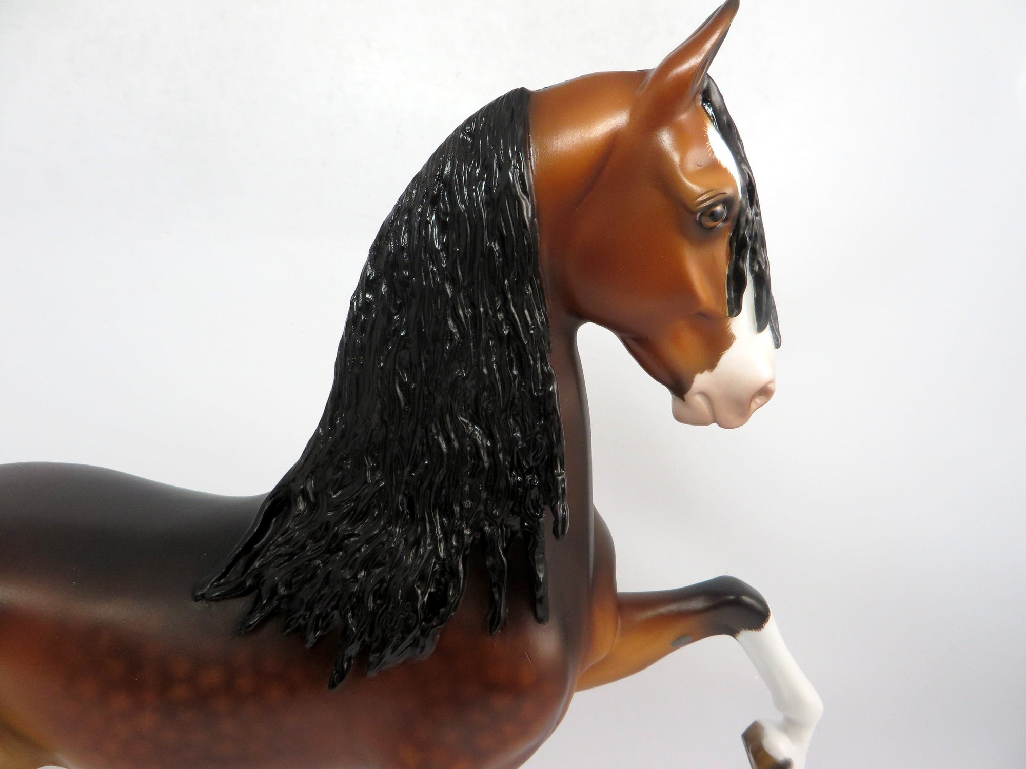 AMADEUS-OOAK BAY DAPPLED SADDLEBRED BY SHERYL LEISURE 1-18-19