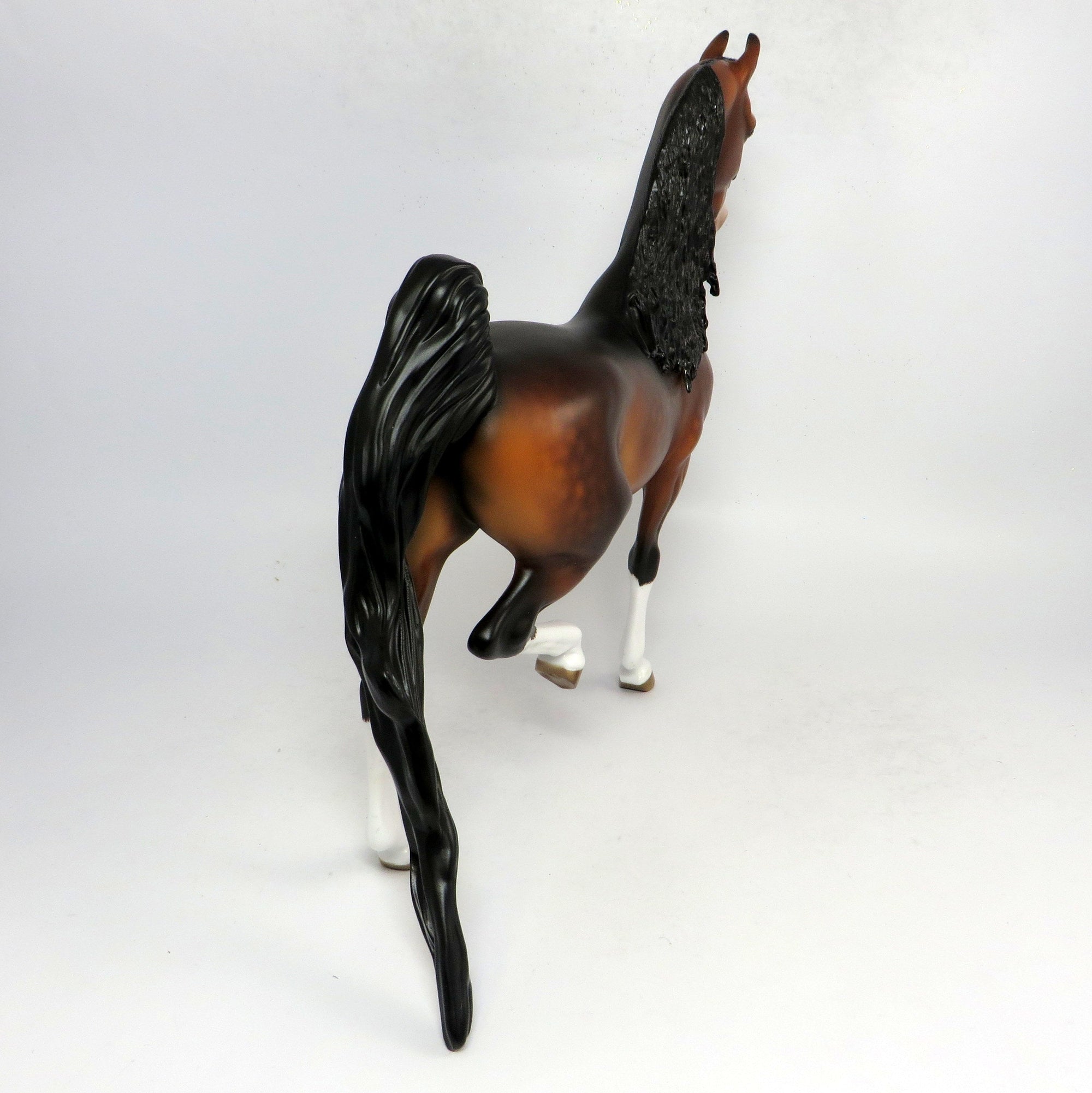 AMADEUS-OOAK BAY DAPPLED SADDLEBRED BY SHERYL LEISURE 1-18-19