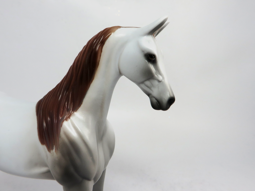 American Saddlebred Pebbles